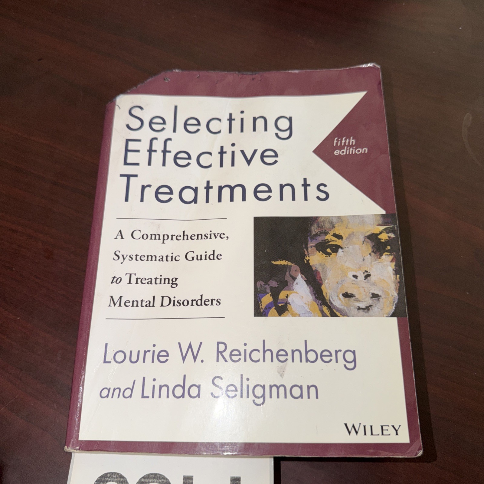 Selecting Effective Treatments : Mental Disorders 5th Ed. Reichenberg & Seligman