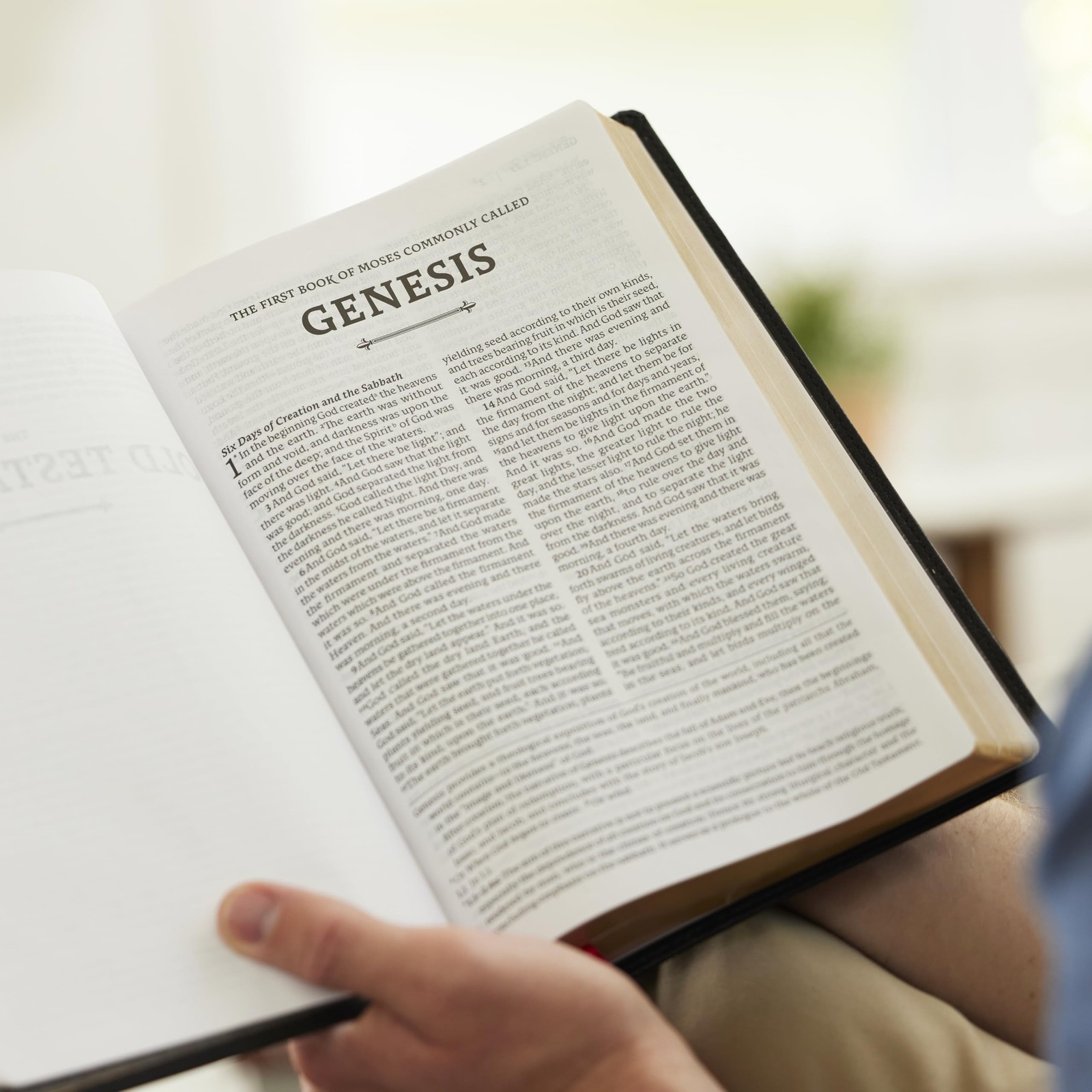 RSV2CE, Thinline Large Print Catholic Bible, Brown Leathersoft, Comfort