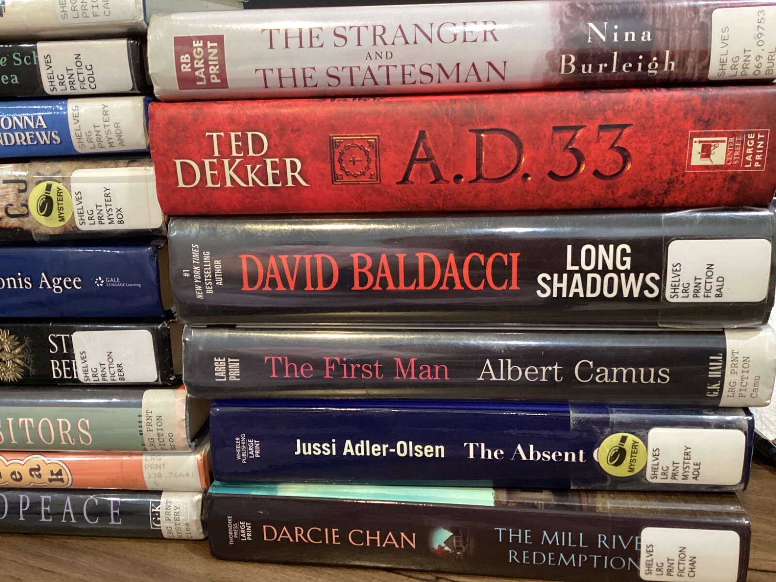 Large Print – Various Authors – You Choose – List A-E (Last Name)