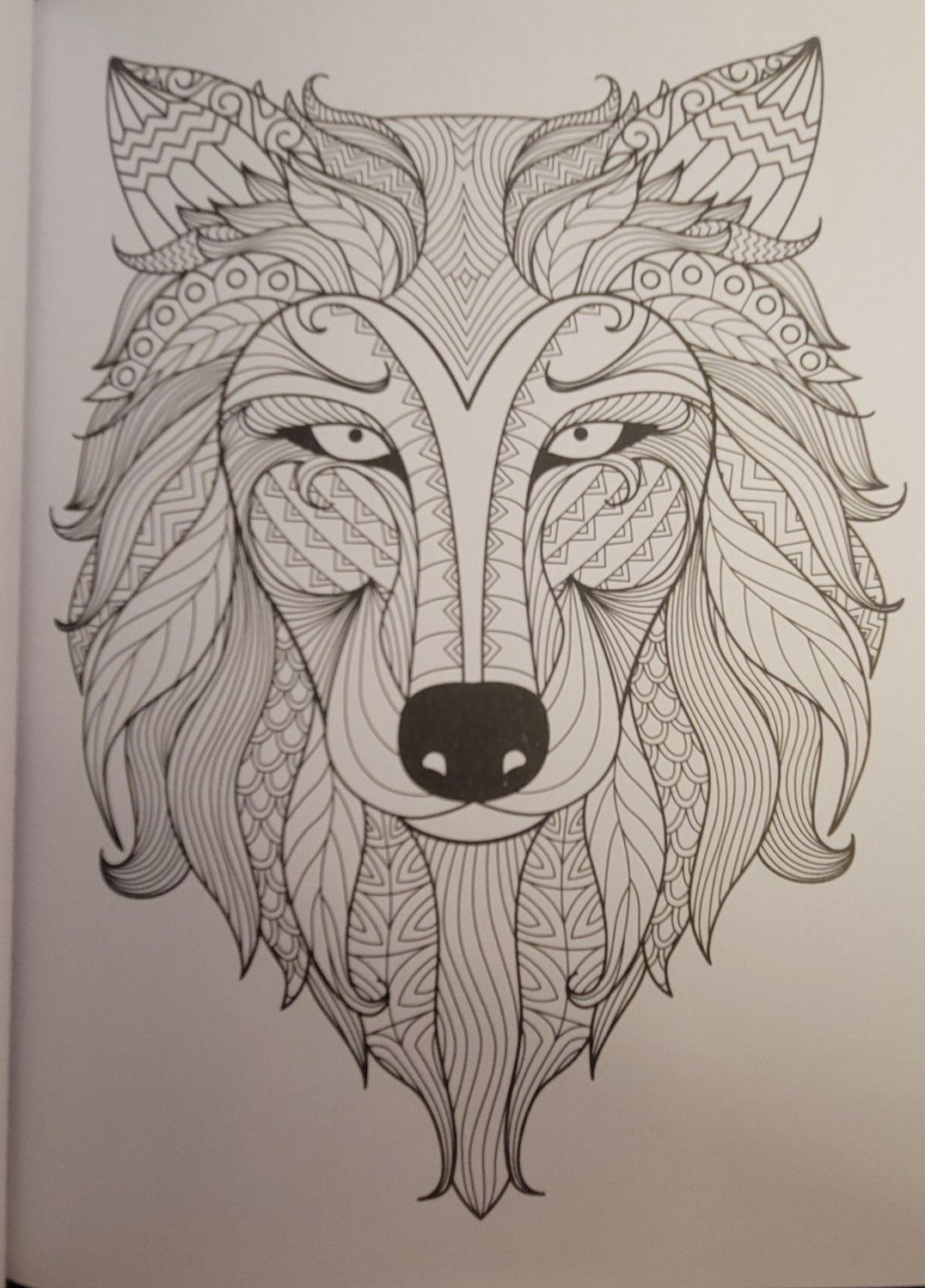 COLORS OF THE WILD Vol 22 Adult Coloring Book With 47 Prints Ready To Frame