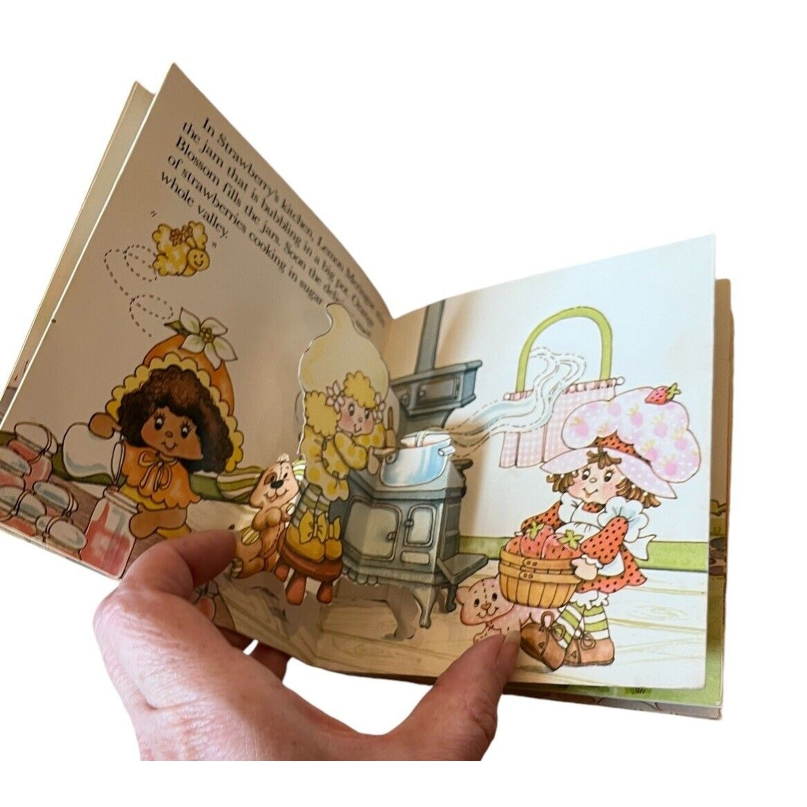 Strawberry Shortcake and the Berry Harvest Little Pops Pop-up Book 1982