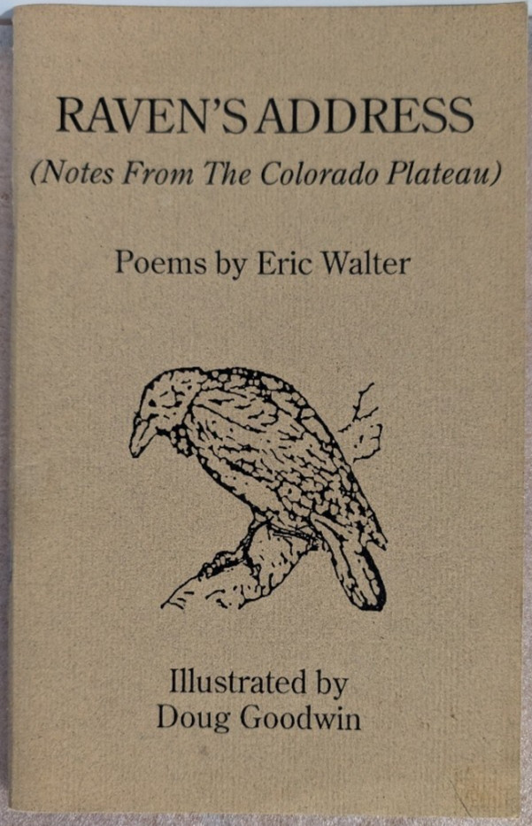 Lot of 8 Poetry Chapbooks, Hutton, Baldwin, Walter, truesdale, Hiatt… Lot 030