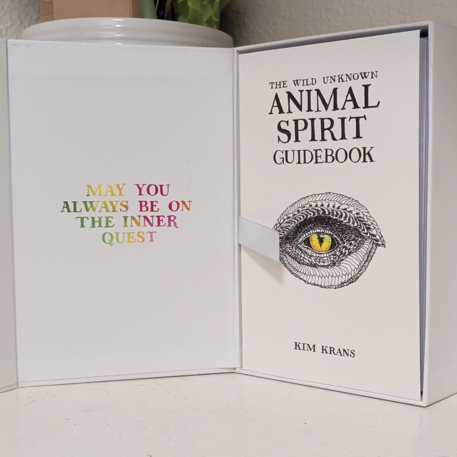 Kim Krans The Wild Unknown Animal Spirit Guidebook Box Set HarperOne