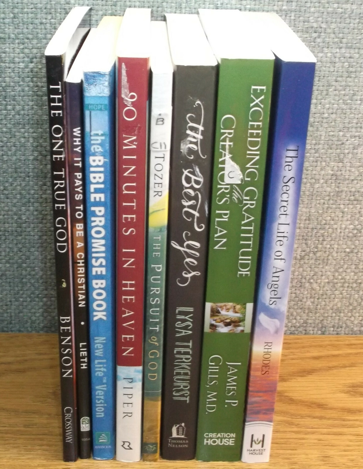 LOT Christian Faith Secret Life of Angels Creator’s Plan Bible Promise Book God