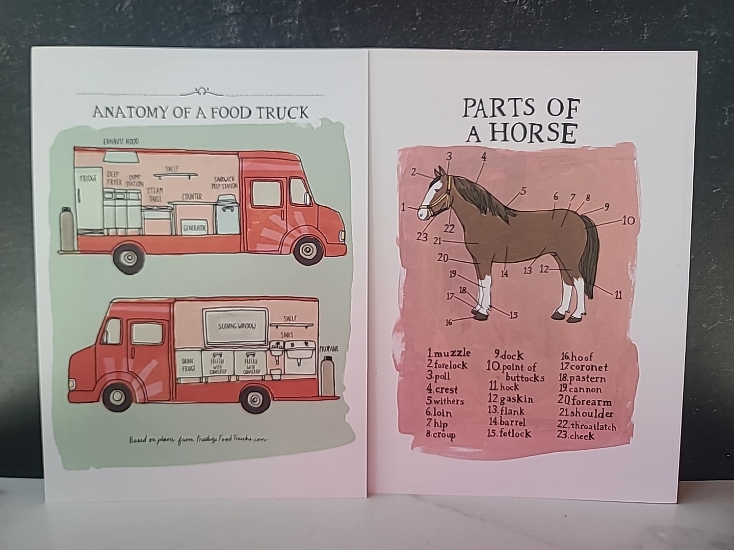 Julia Rothman Collection : Farm Anatomy, Nature Anatomy, and Food Anatomy by…