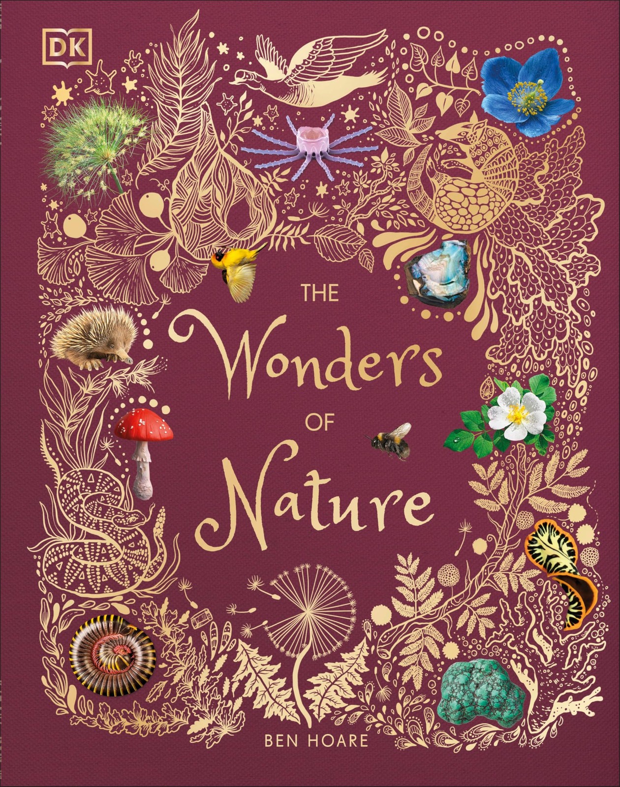 The Wonders of Nature (DK Children’s Anthologies) Brown