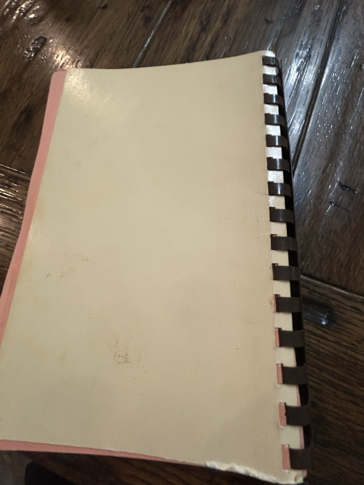 Czech American Favorite Recipes Of Plzensky Sokol, Chicago, IL. Vintage