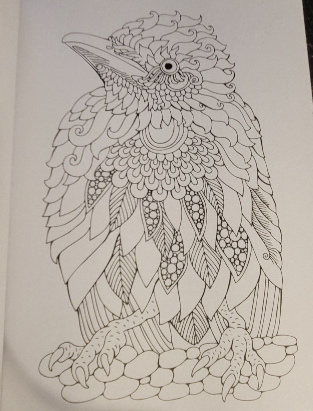 COLORS OF THE WILD Vol. 20 Adult Coloring Book With 47 Prints Ready To Frame!