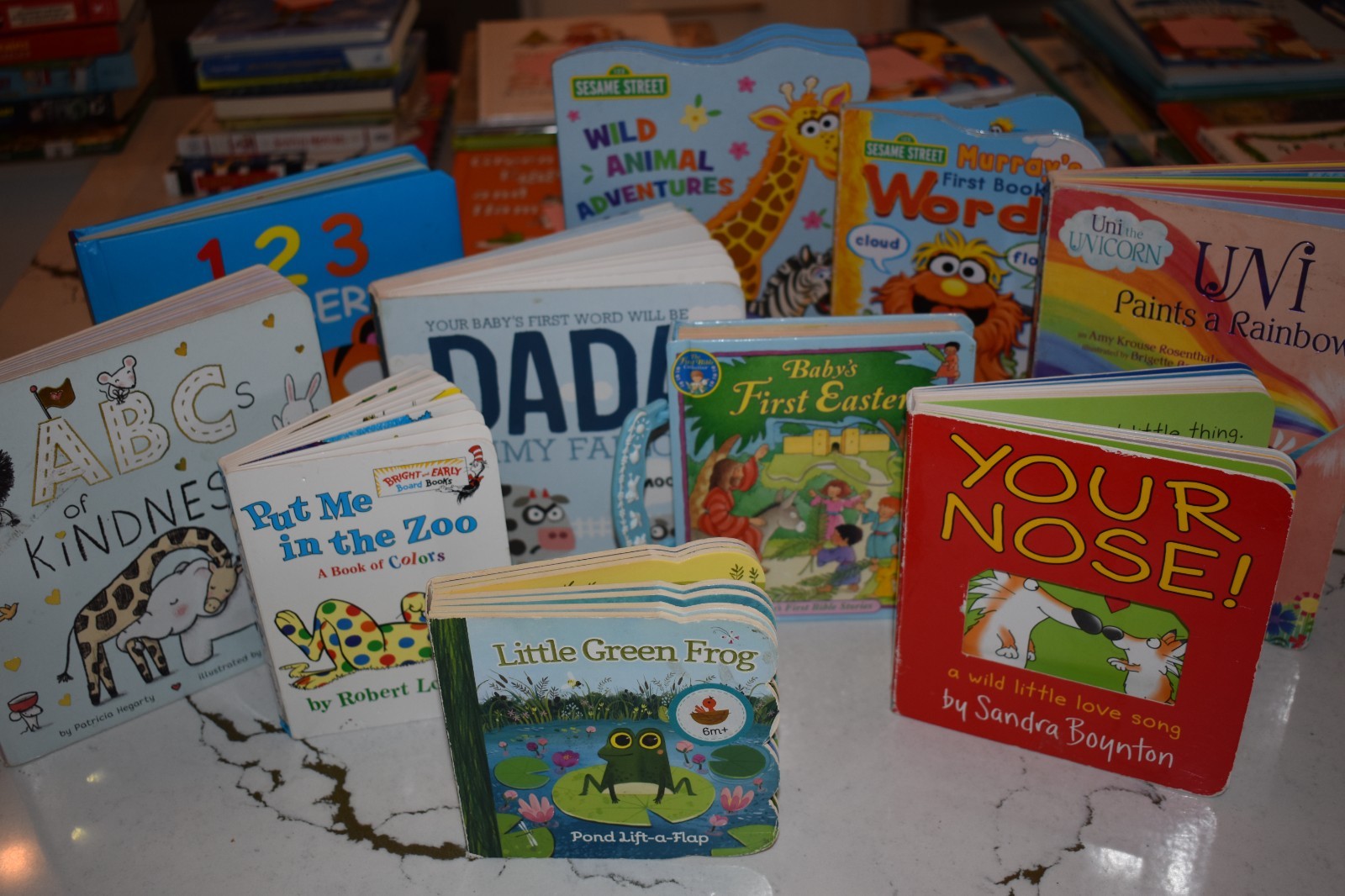 Random Lot of 10 – Books for Children’s/ Kids/ Toddler Babies/Preschool/Daycare