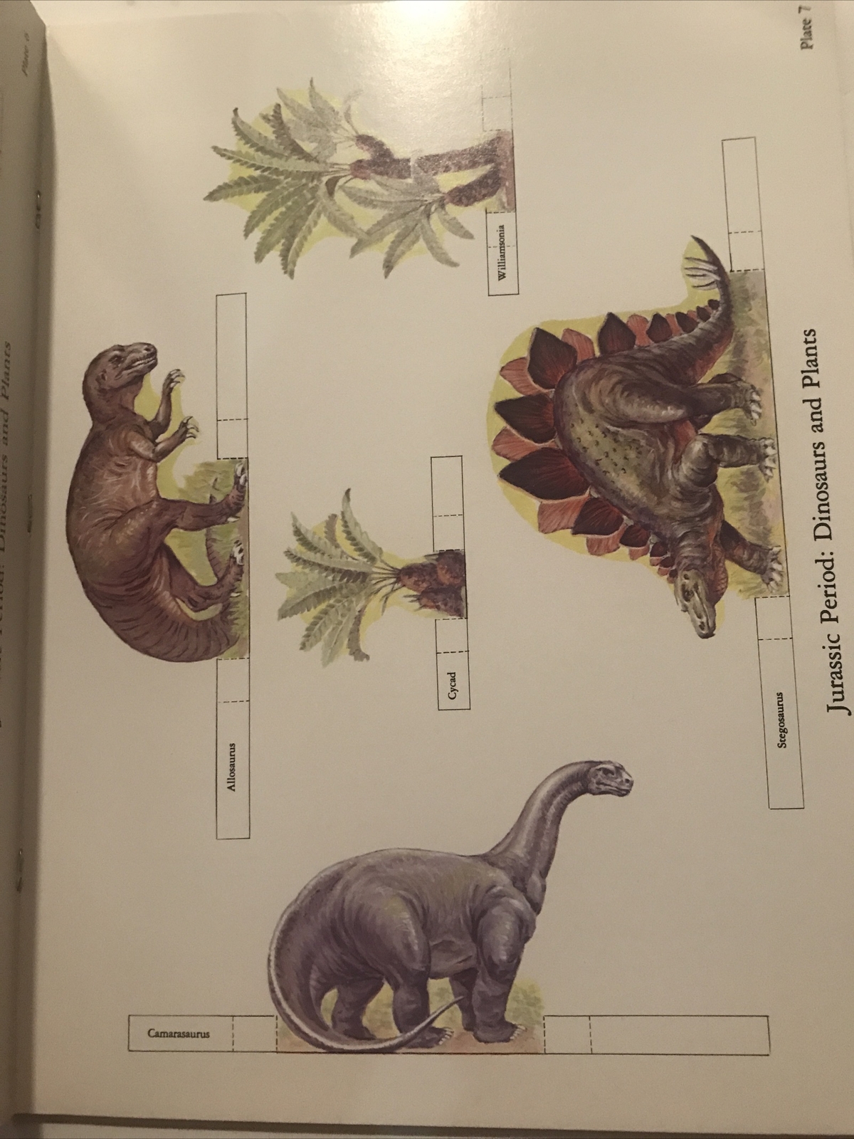Cut & Assemble Dinosaur Dioramas Book- Two Complete Color 3D Scenes -Kalmenoff