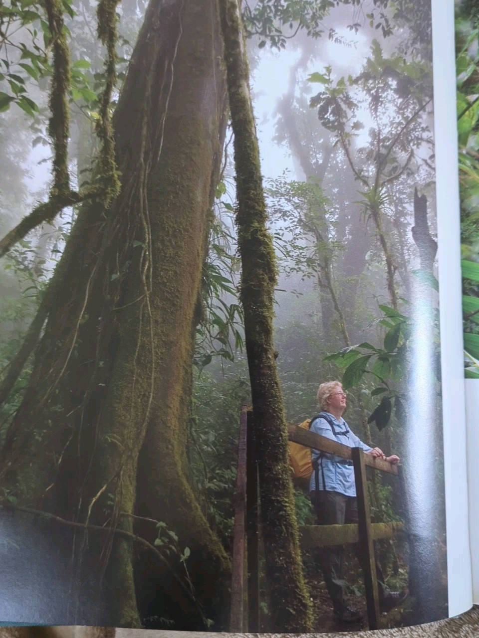 Monteverde: Cloud Forest Preserve Hardcover. English & Spanish, 152 pages
