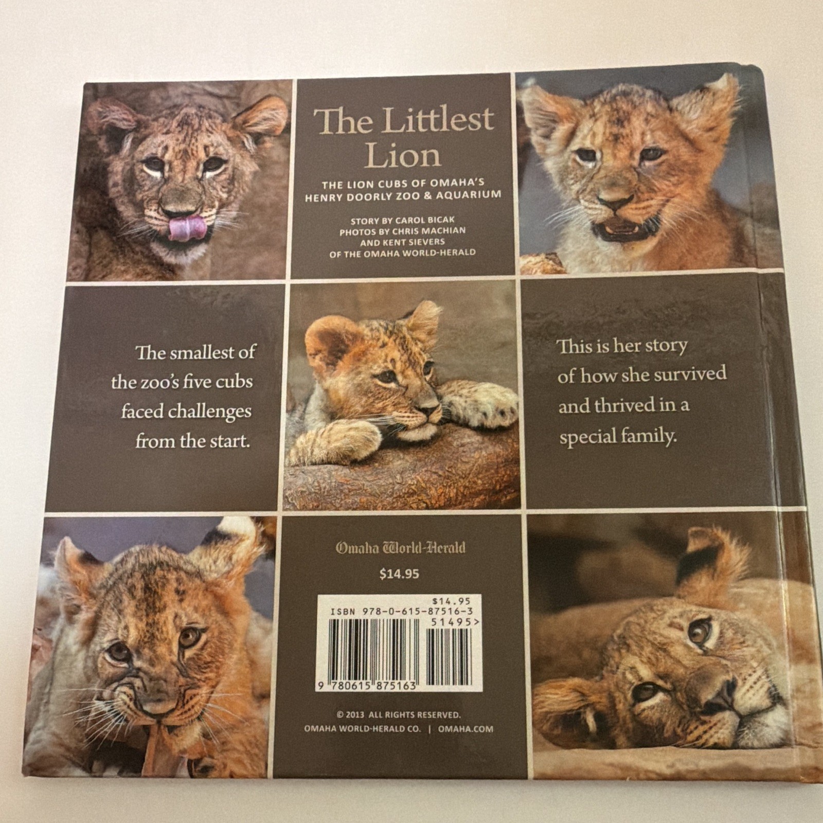 Omaha World-Herald The Littlest Lion Lion Cubs of Henry Doorly Zoo HC 2013 Illus