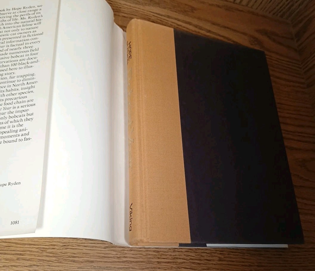 Bobcat Year By Hope Ryden 1981 Hardcover