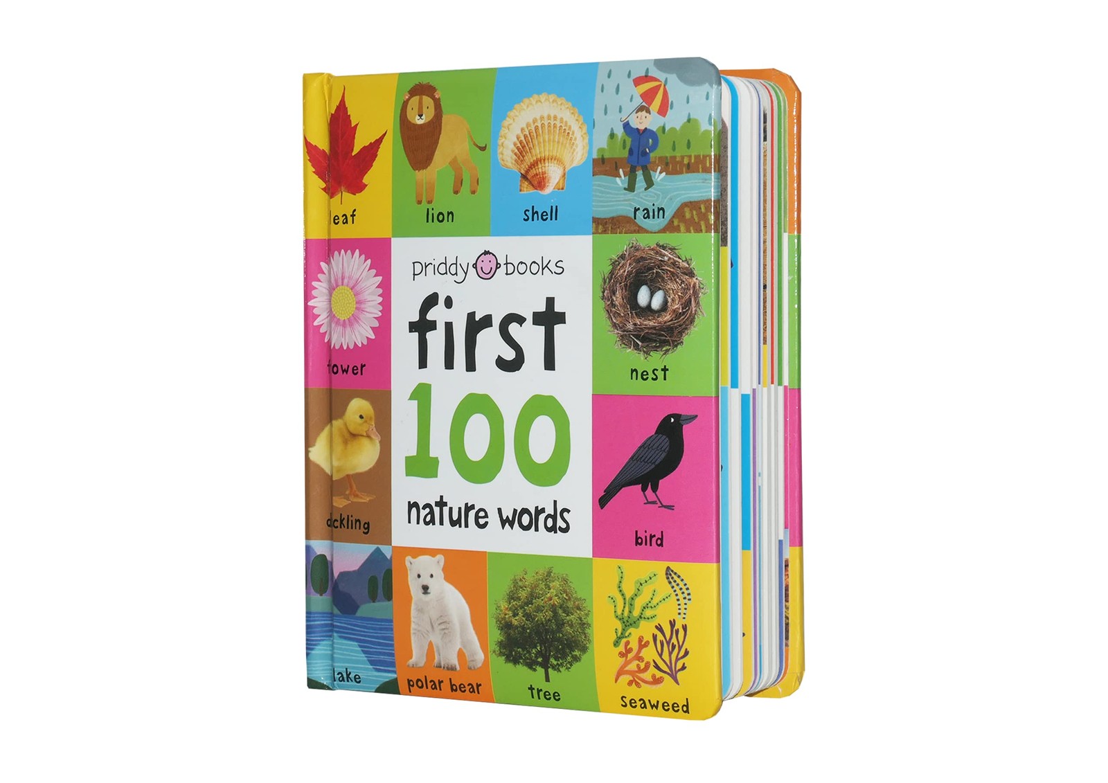 First 100 Nature Words A padded book―perfect for little hands to hold