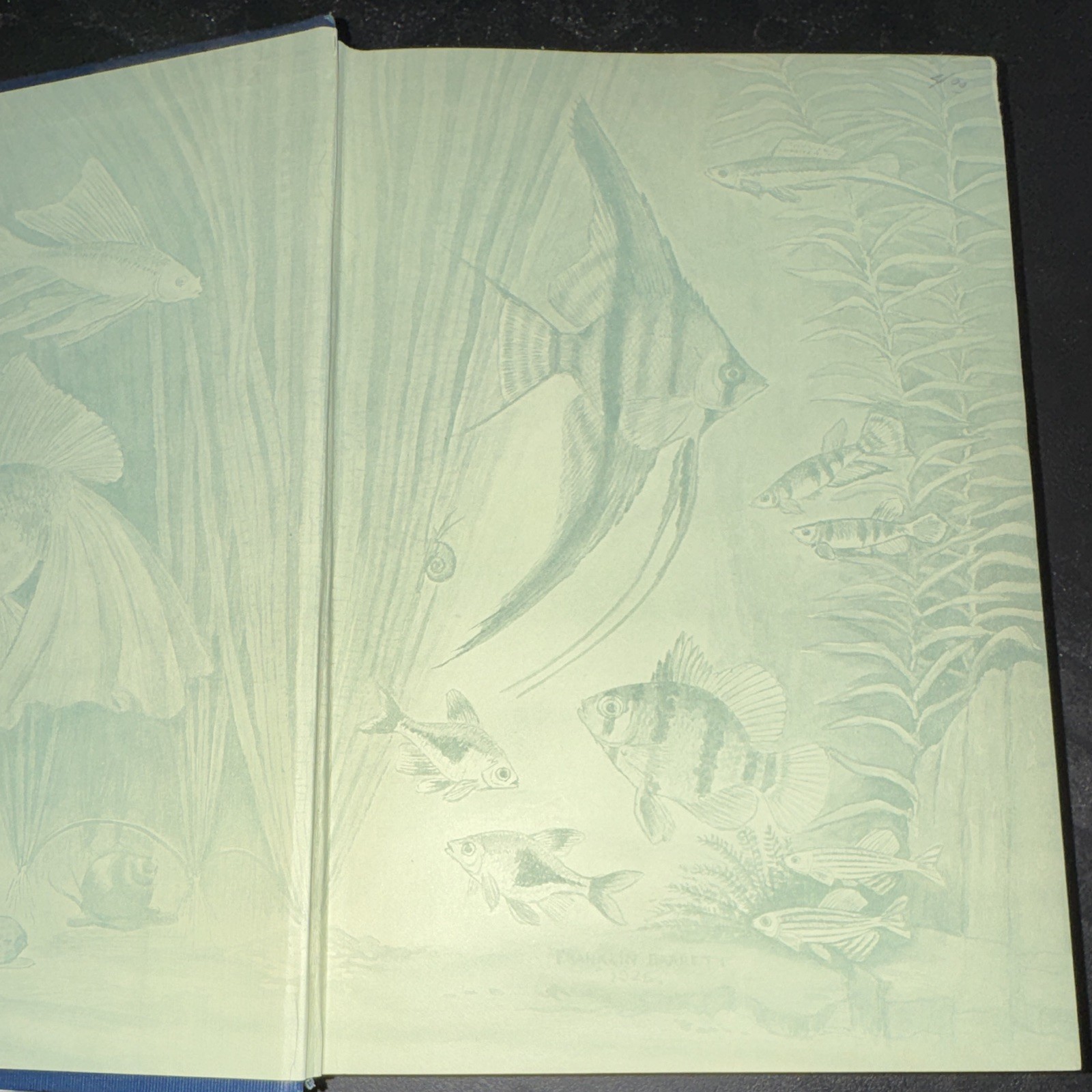 William T. Innes – Goldfish Varieties & Tropical Aquarium Fishes – 1931