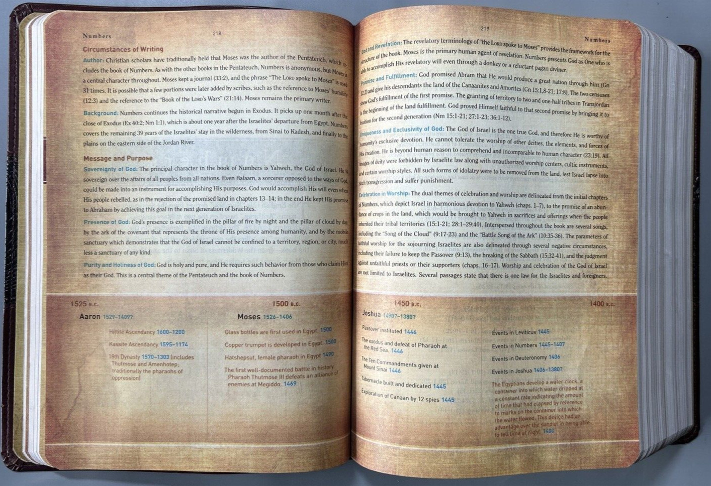 HCSB Study Bible Mahogany Duotone Simulated Leather Clean Text G+ USA Print