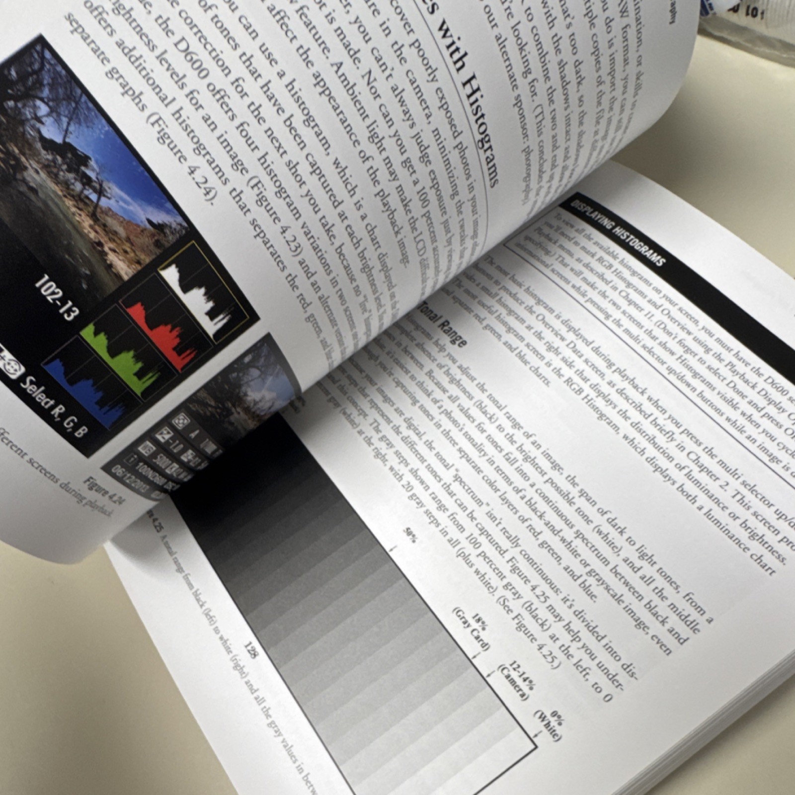 David Busch’s Nikon D600 Guide David D Busch Cengage 2014 Paperback