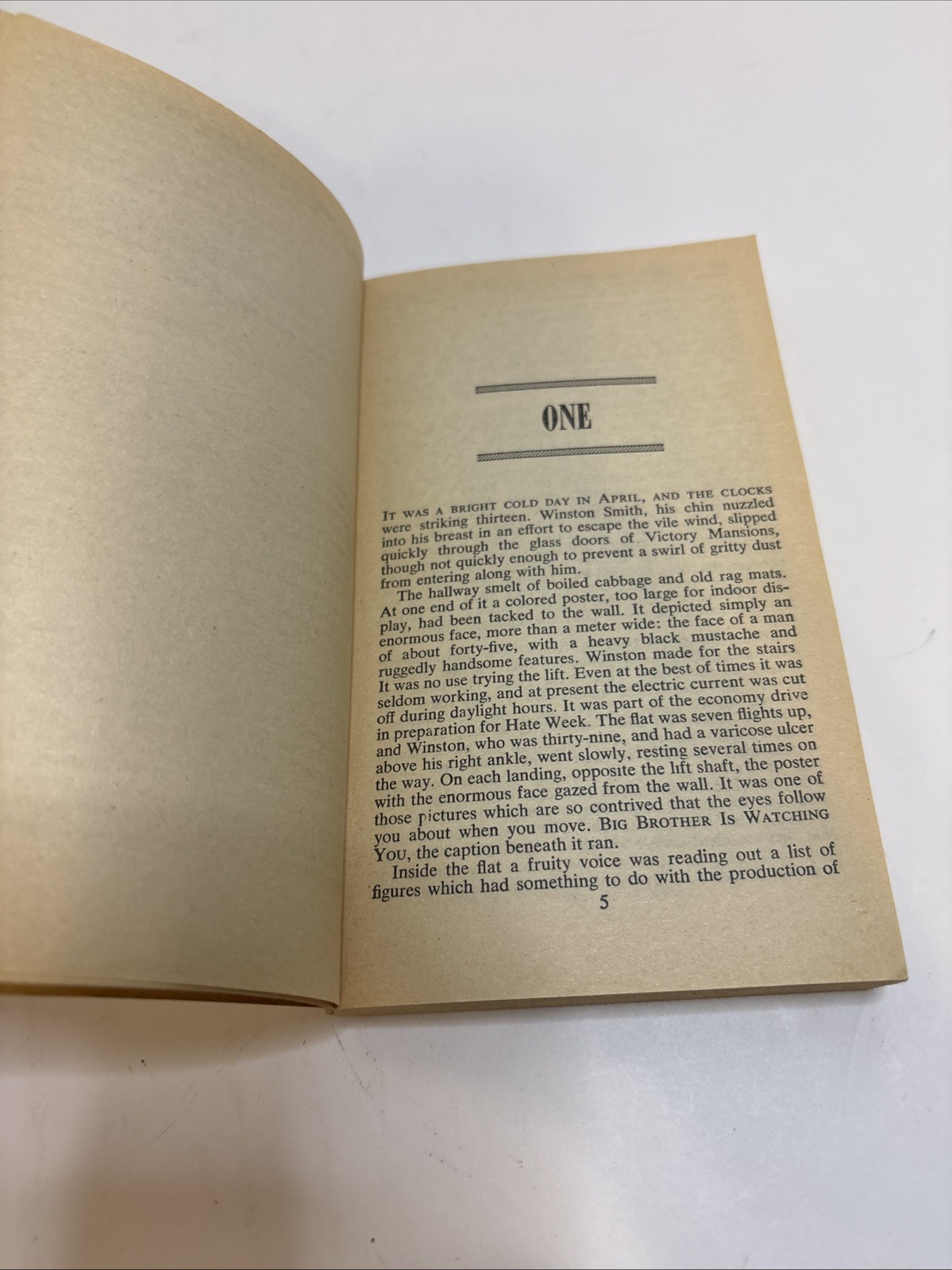Vintage! George Orwell Book Set: Animal Farm and 1984 Paperback Signet Classic