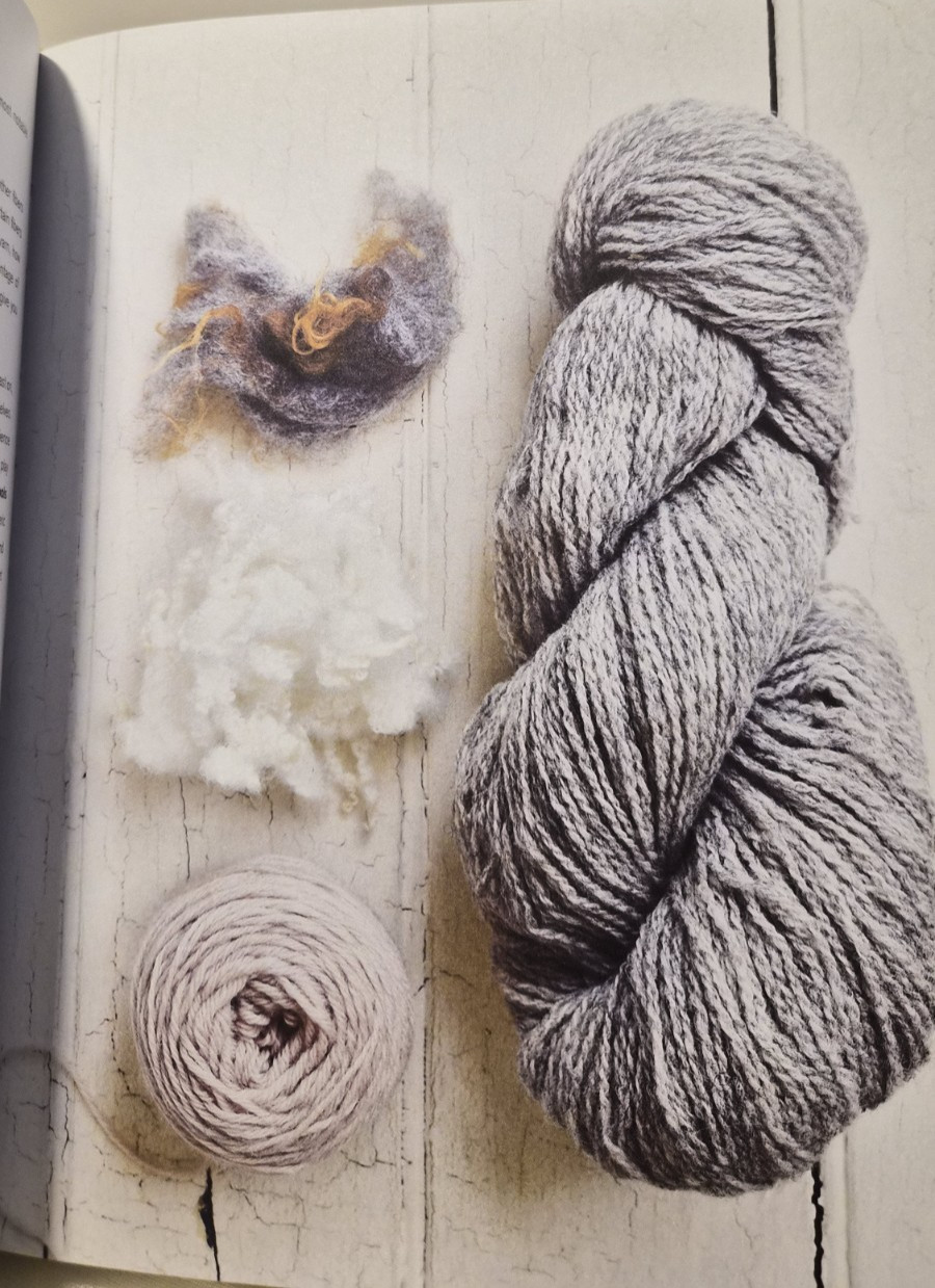 The Knitter’s Book of Wool: Clara Parkes HC/Good+ (see photos:)