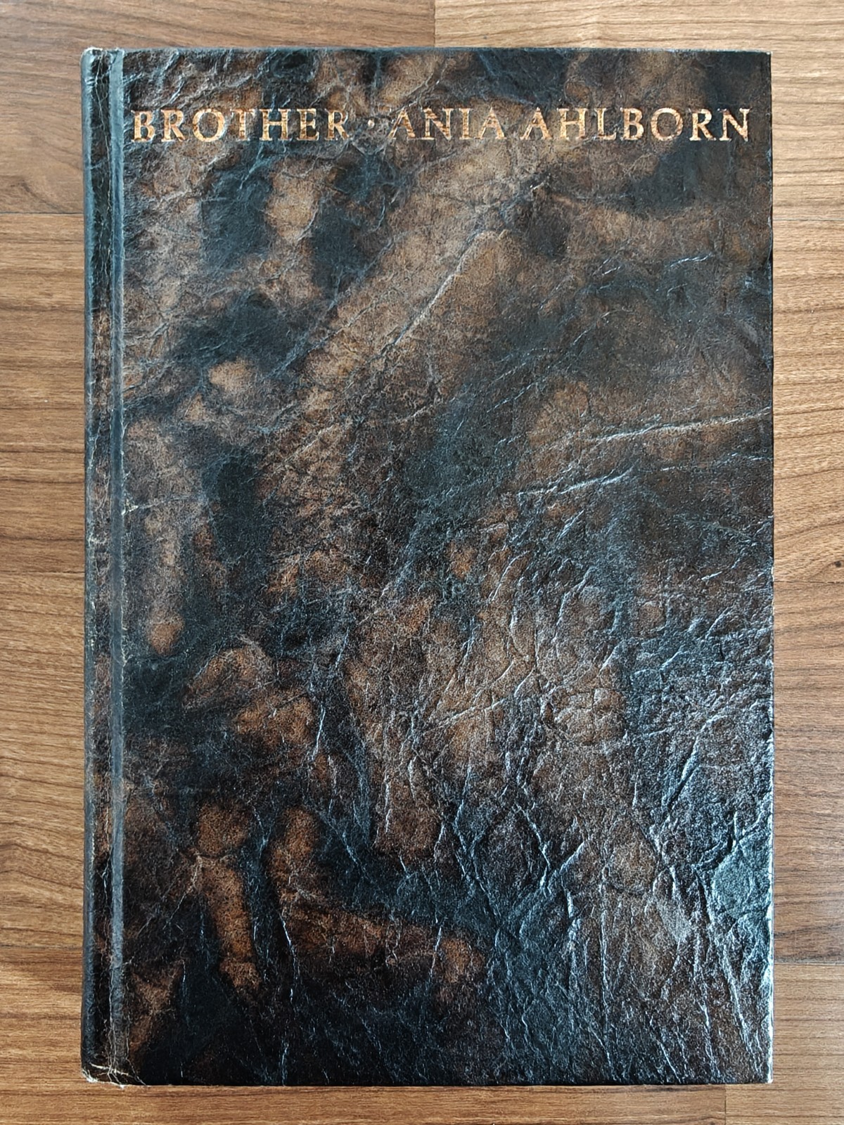 Numbered Limited Edition Of Brother By Ania Ahlborn From Suntup Editions
