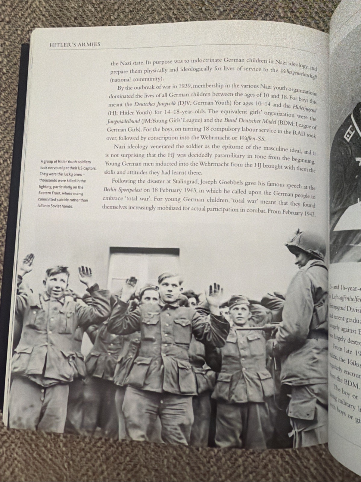 Hitler’s Armies: A History Of The German War Machine 1939-1945, By Chris McNab