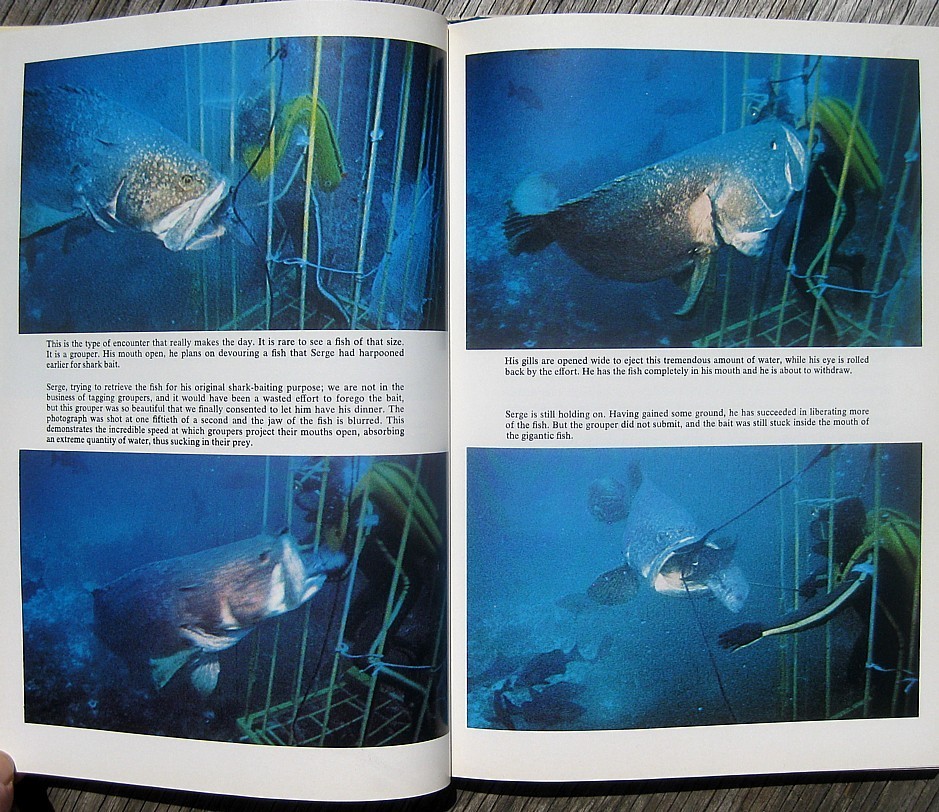 1970 SHARKS Personally Signed by JACQUES COUSTEAU & PHILIPPE COUSTEAU Ocean JAWS