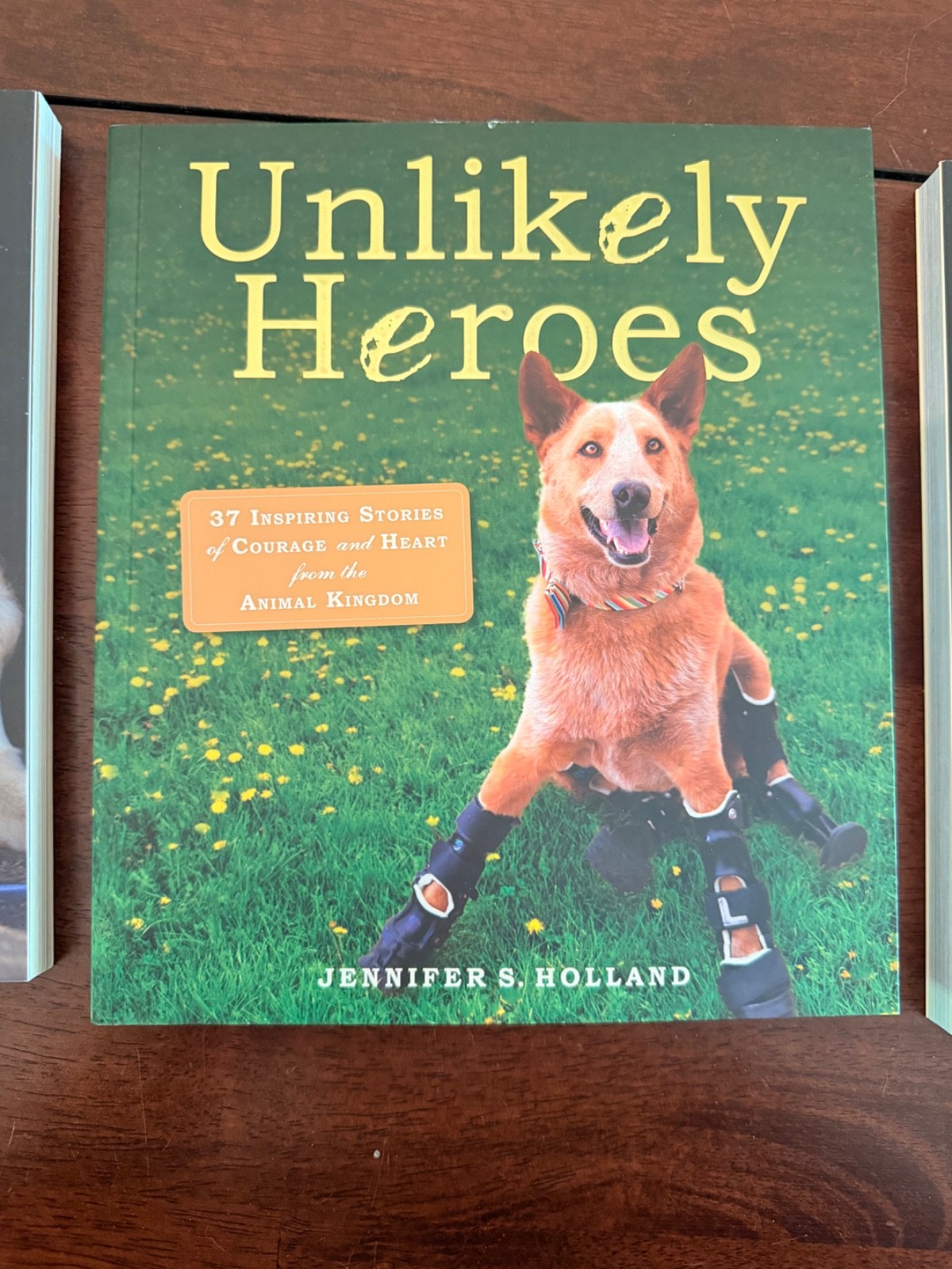 3 Jennifer S. Holland Unlikely Books: Loves,Friendships and Heroes