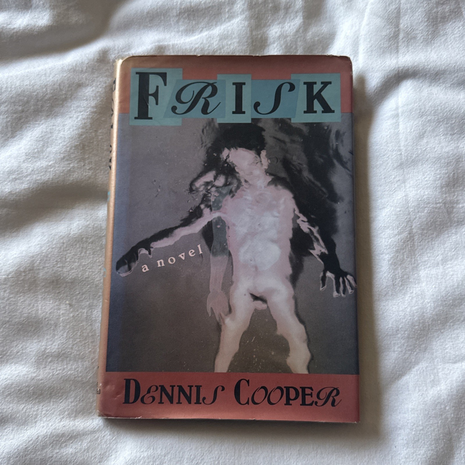 Frisk : A Novel by Dennis Cooper (1991, Hardcover) 1st Edition Weidenfeld Grove