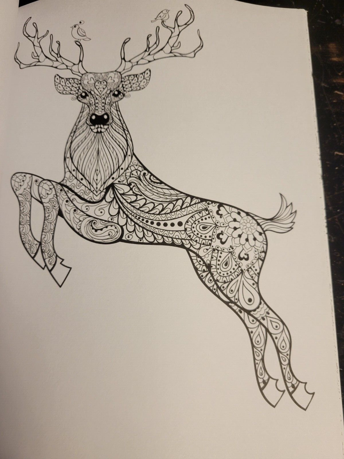 COLORING ANIMAL FRIENDS Vol 2 Adult Coloring Book With 47 Prints Ready To Frame