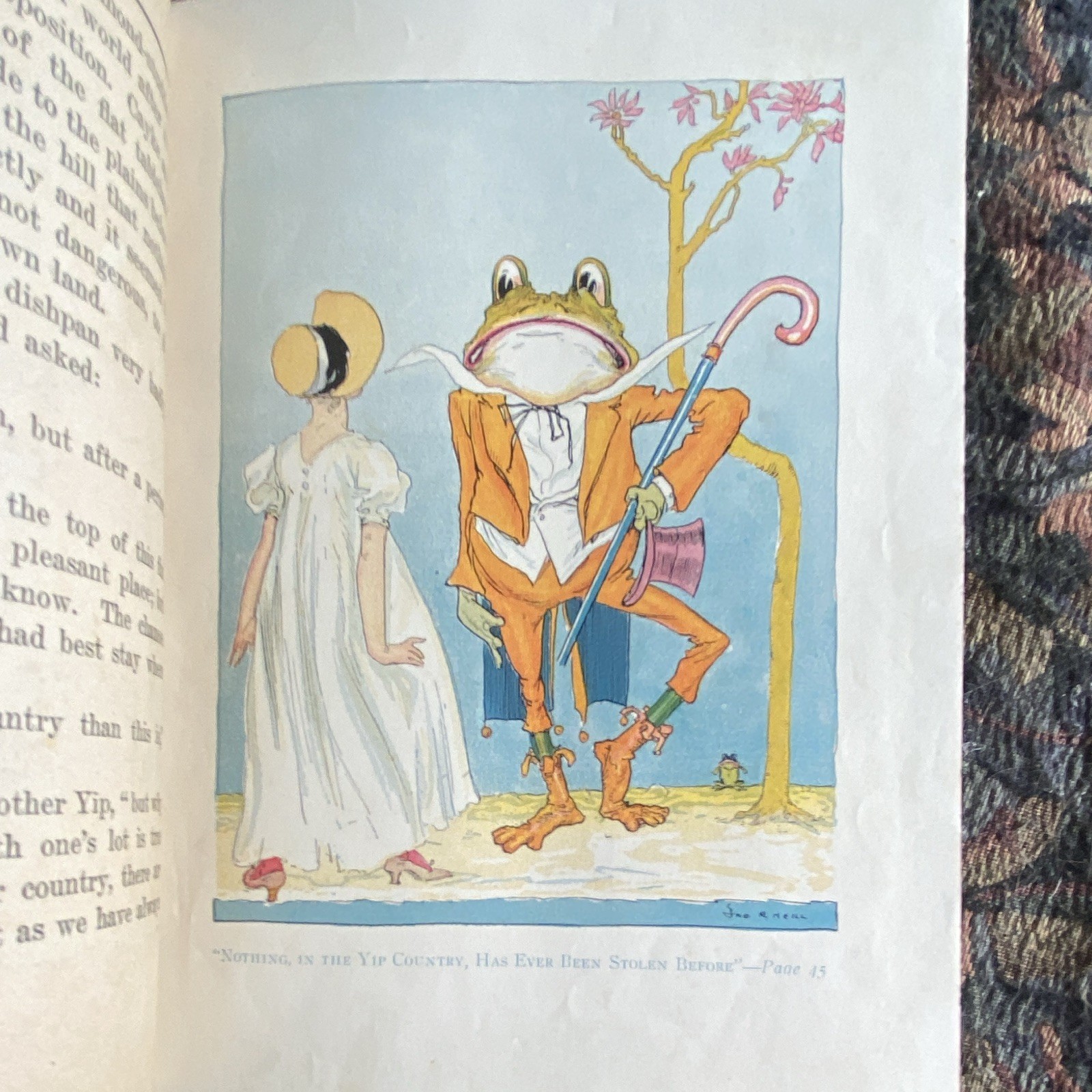 L. Frank Baum The Lost Princess of Oz Oz Series HC Illus Neill Reilly & Lee 1917