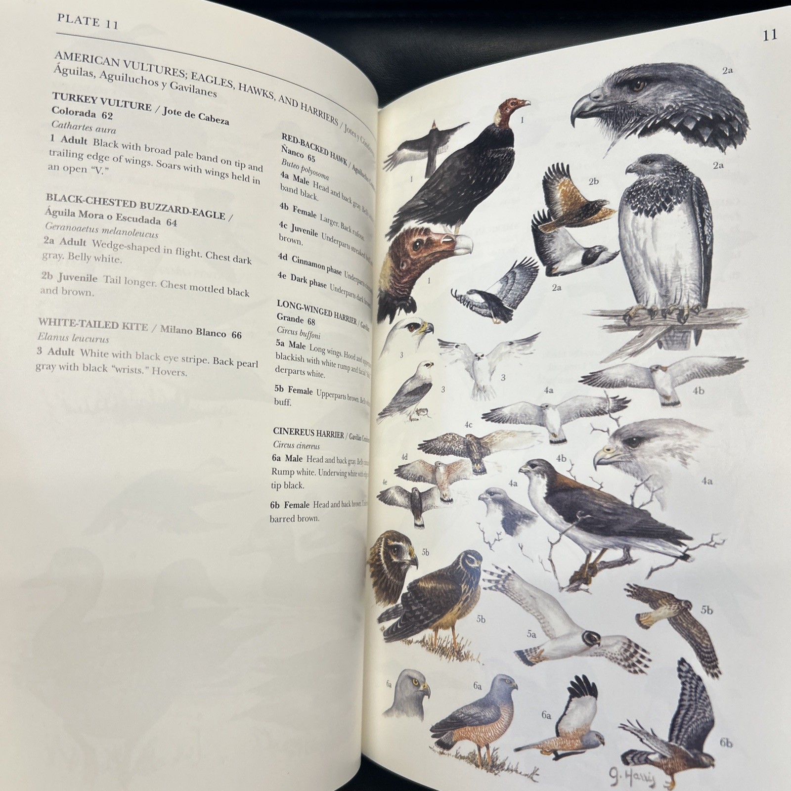 A Guide to the Birds and Mammals of Coastal Patagonia by Graham Harris HB DJ VG