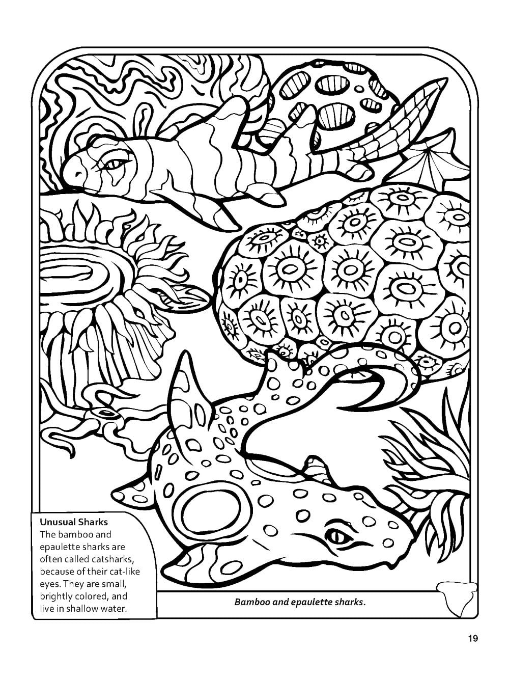 Sharks! Coloring Book (Dover Nature Coloring Book)