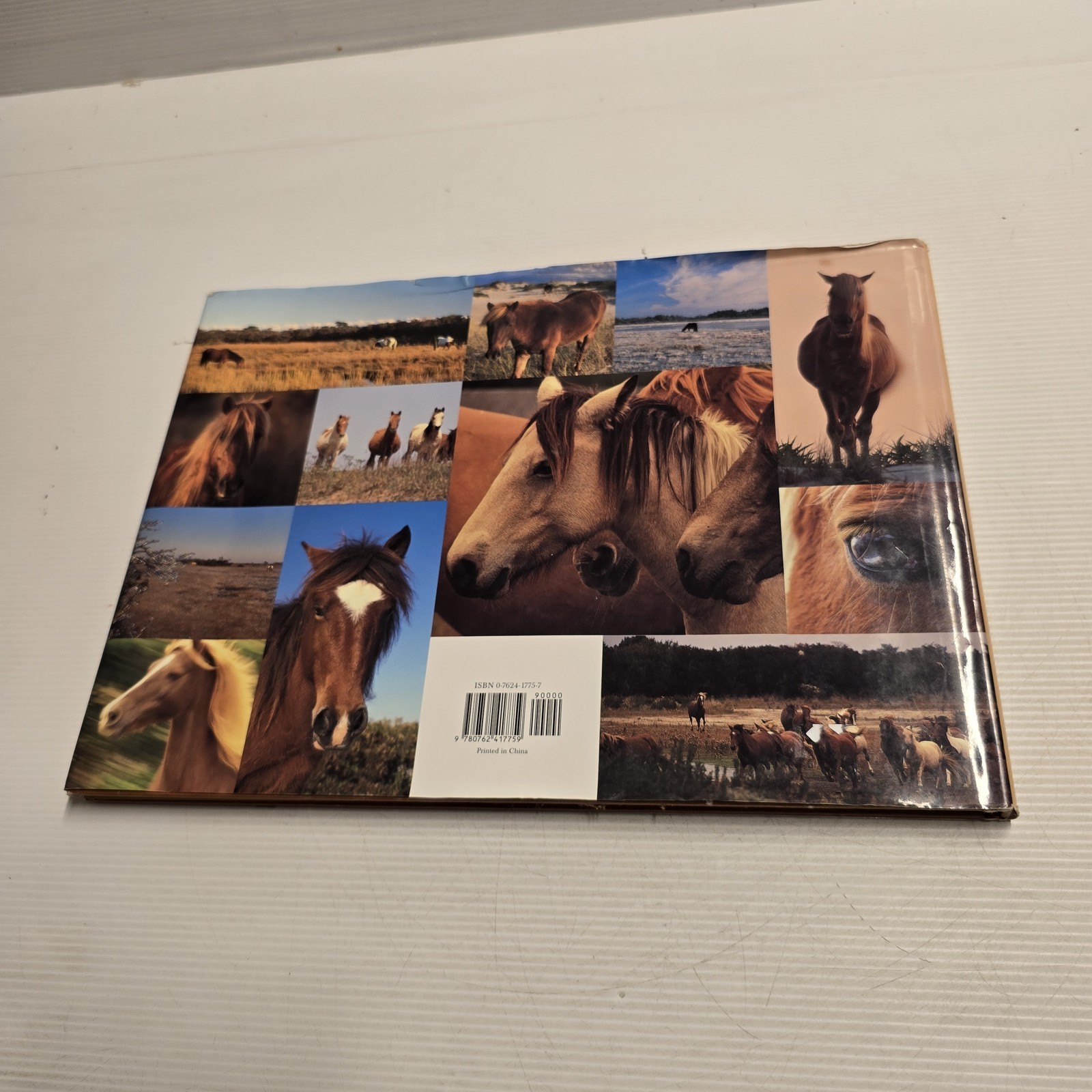 Wild Horses of the Dunes by Rich Pomerantz Hardcover Photography Book Nature