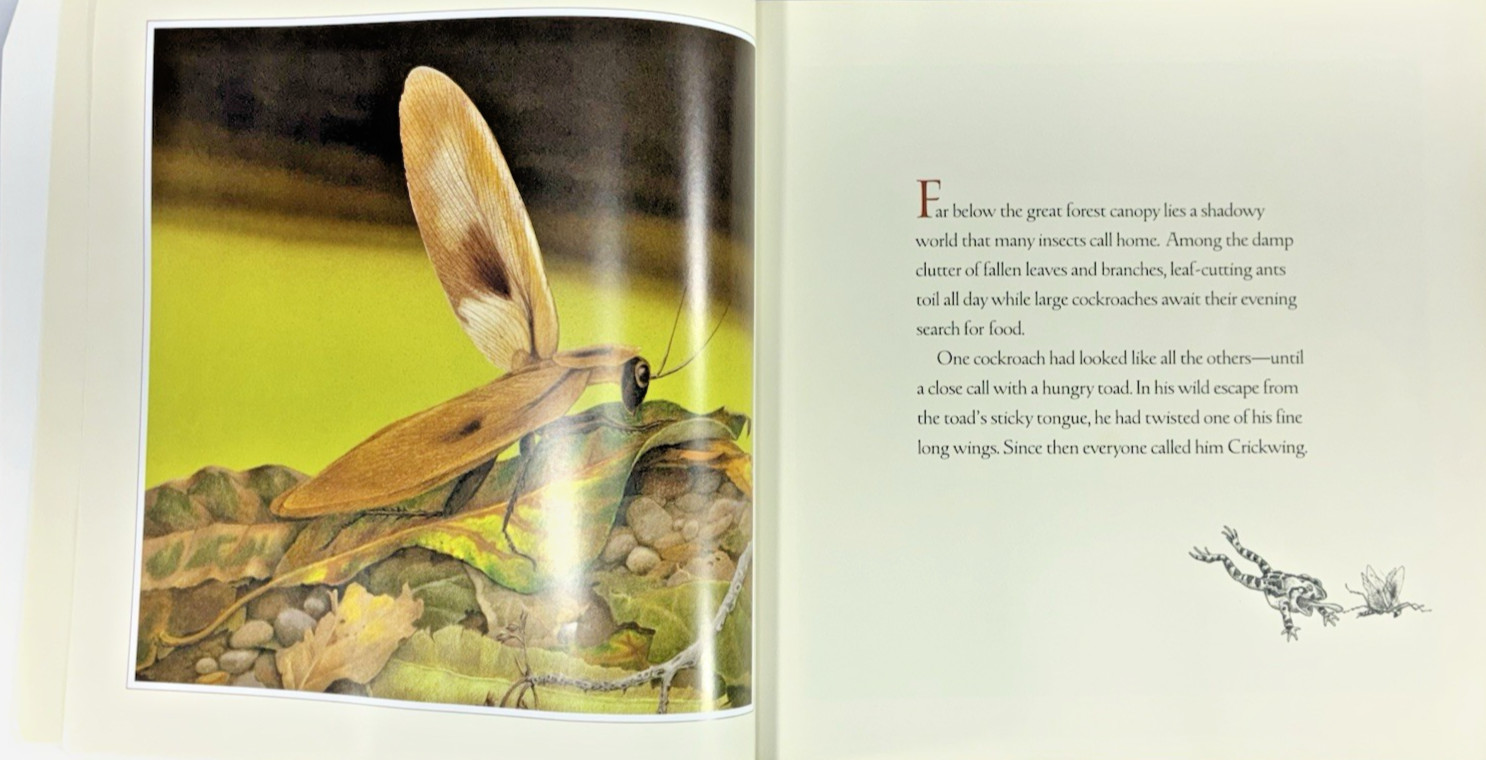 Crickwing by Janell Cannon Vintage 2005 Voyager Children’s Paperback Book