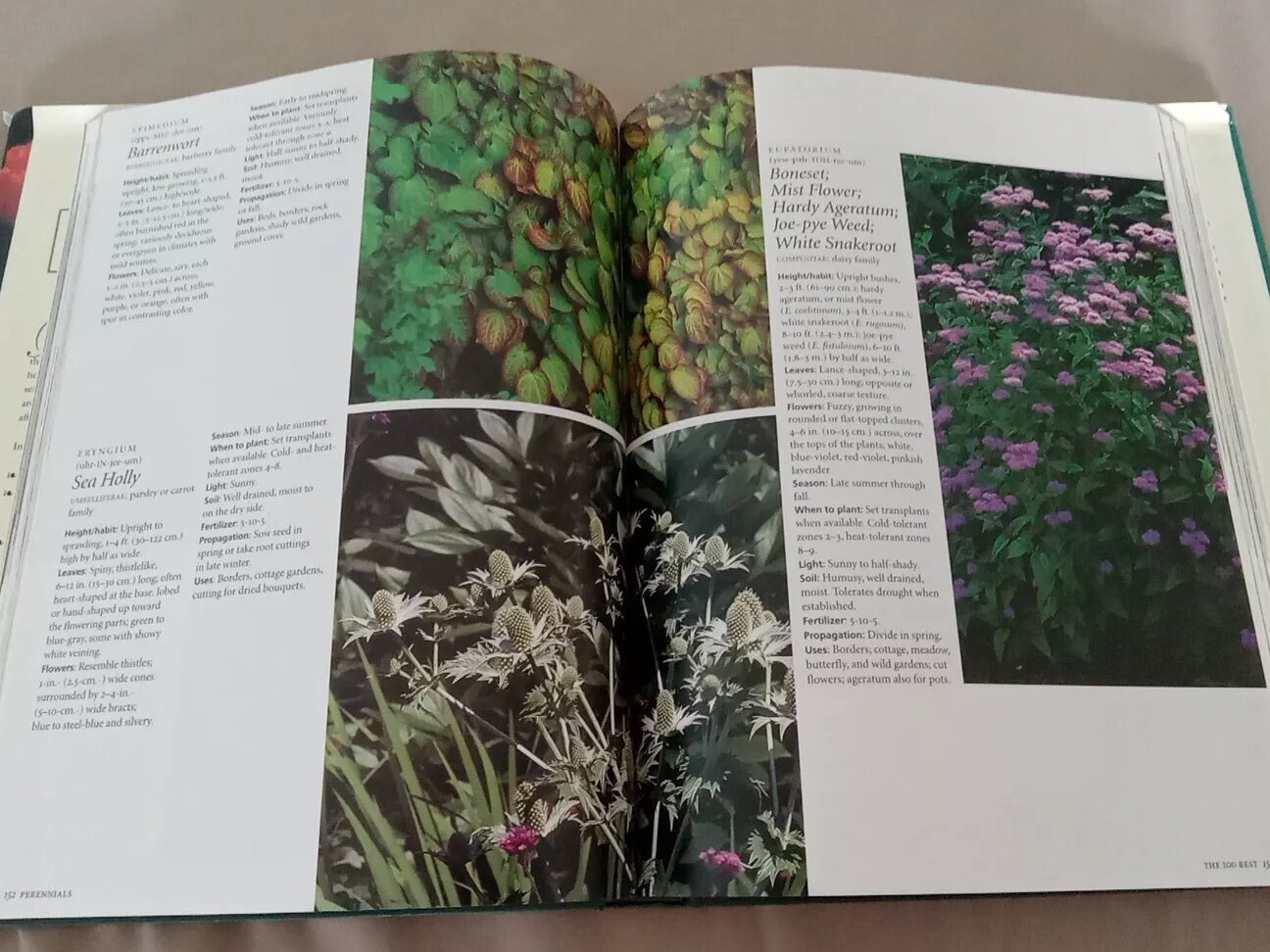 The 400 Best Garden Plants Elvin McDonald Hardcover Dustjacket 1998 Vintage Book