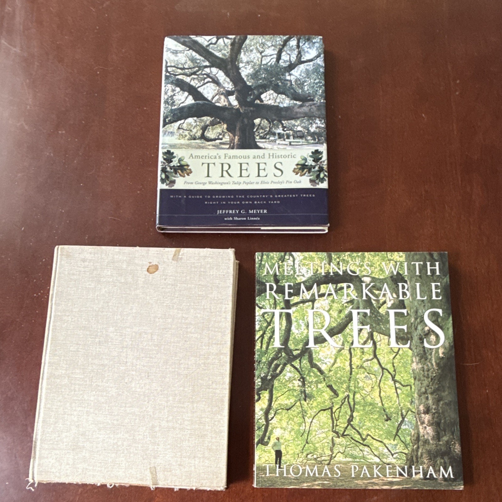Meetings with Remarkable Trees, Thomas Pakenham PB Illustrated Random House