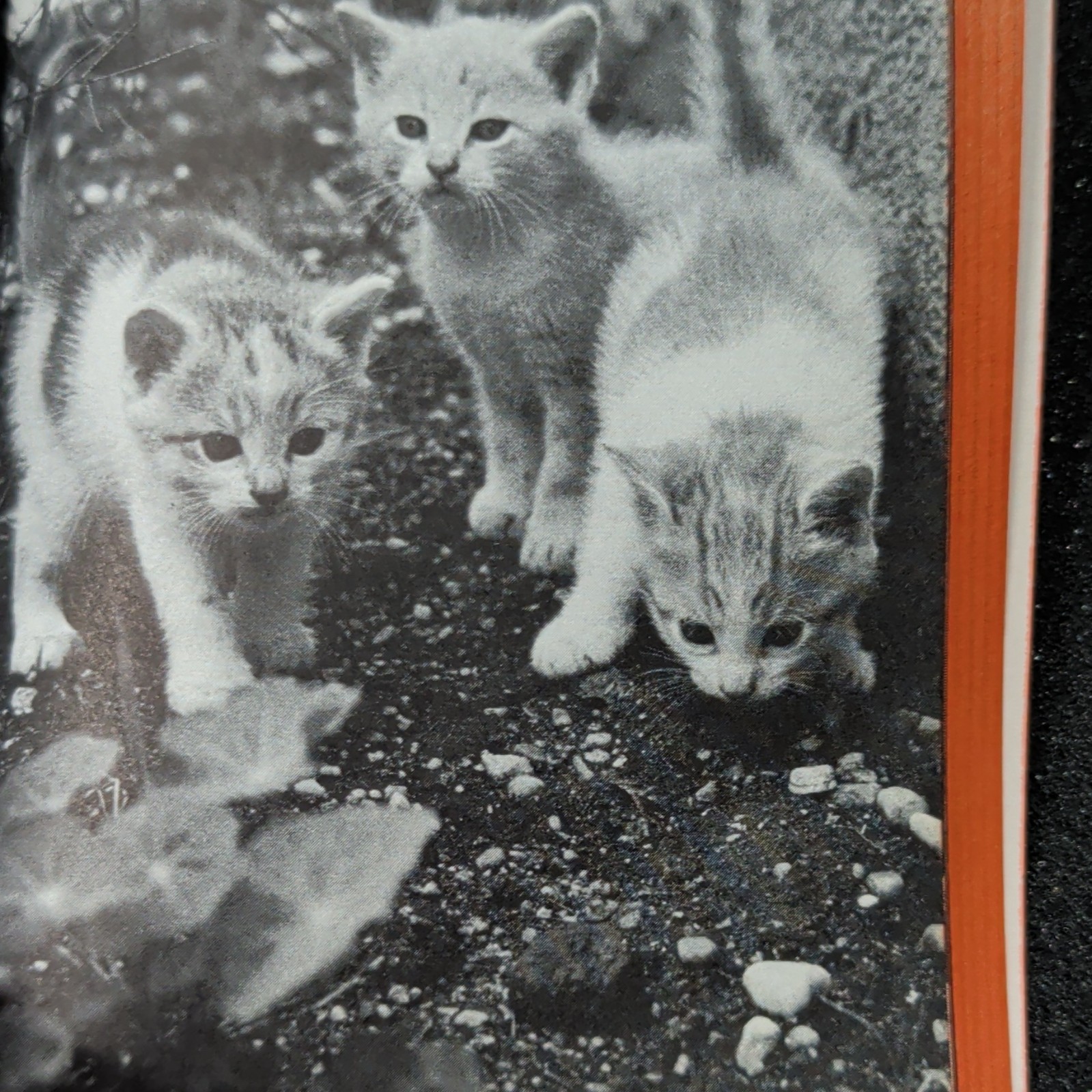 How You Can Take Better Photos Edited By Simon Nathan 1958 Paperback Very Good