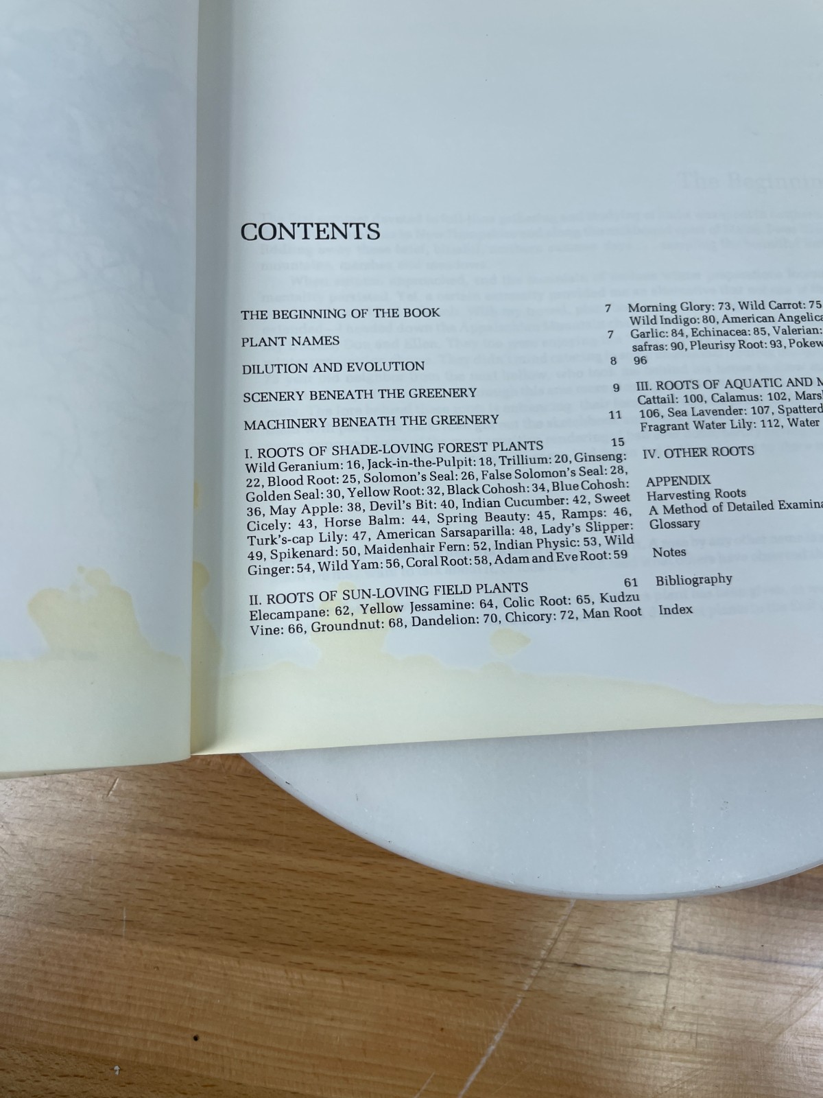 Roots Underground Botany Forager Guide Douglas B Elliott Vintage PB 1979