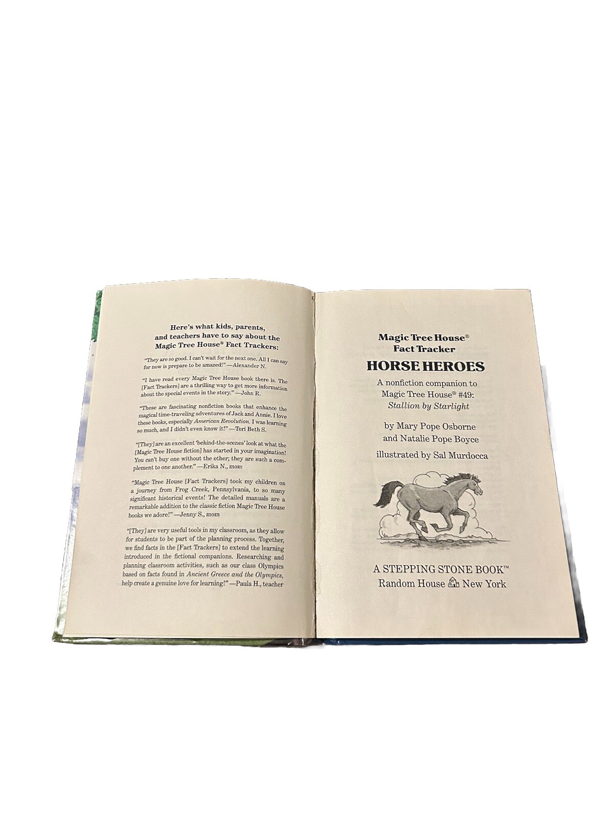 Horse Heroes: Stallion Starlight – Natalie Pope Boyce & Mary Pope Osborne Magic
