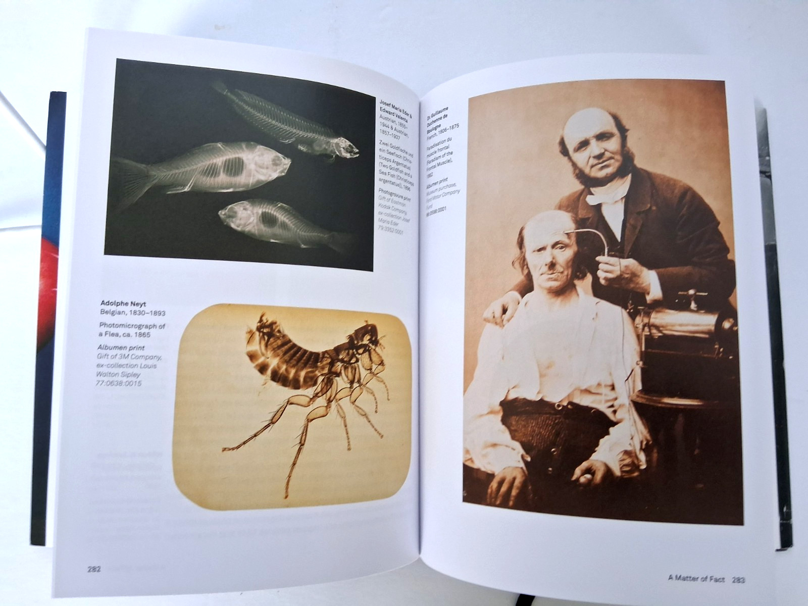 “The History of Photography From 1839 to Present” (Illustrated HC & DJ)