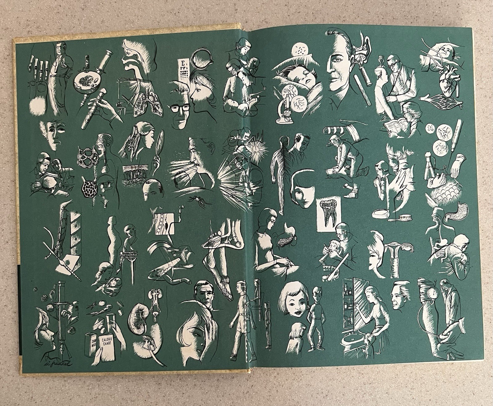 Vtg 1964 The New Illustrated Medical & Health Encyclopedia 1-14 Complete Set HB