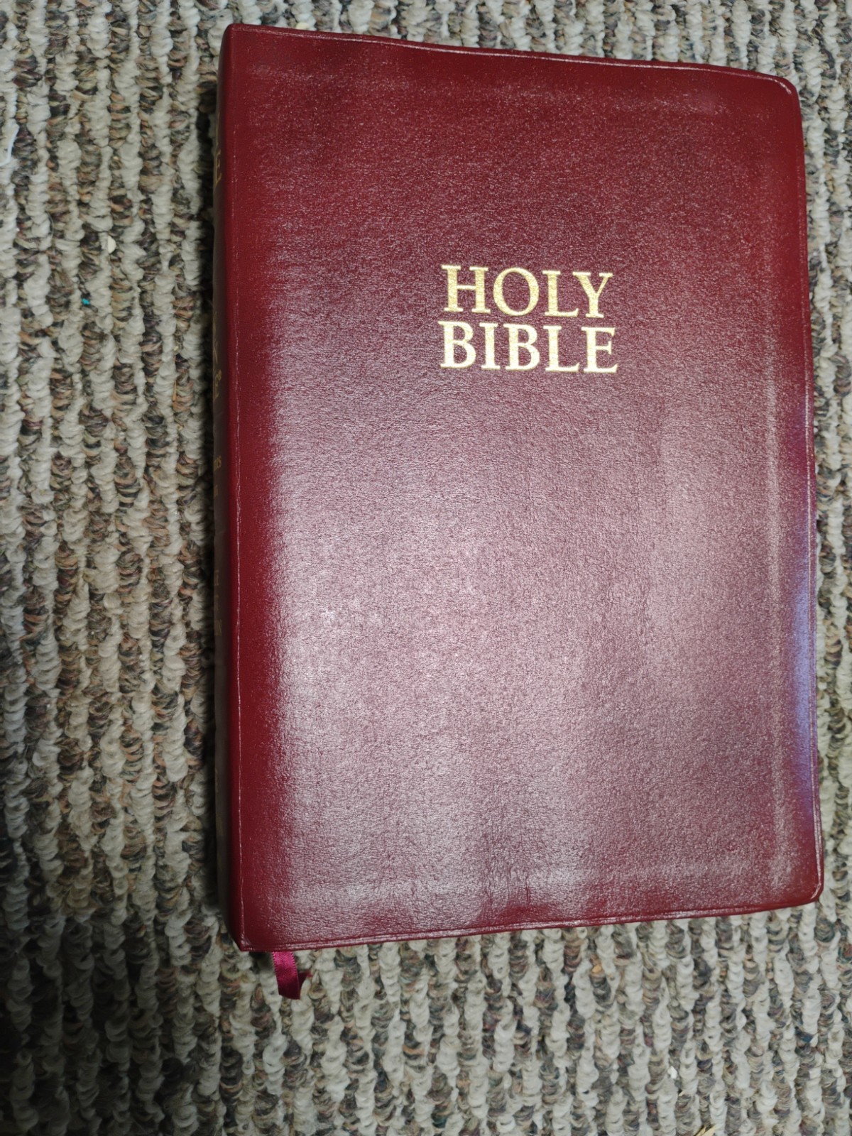 Holy Bible-The New Open Bible , King James Version, Study Edition, Large Print