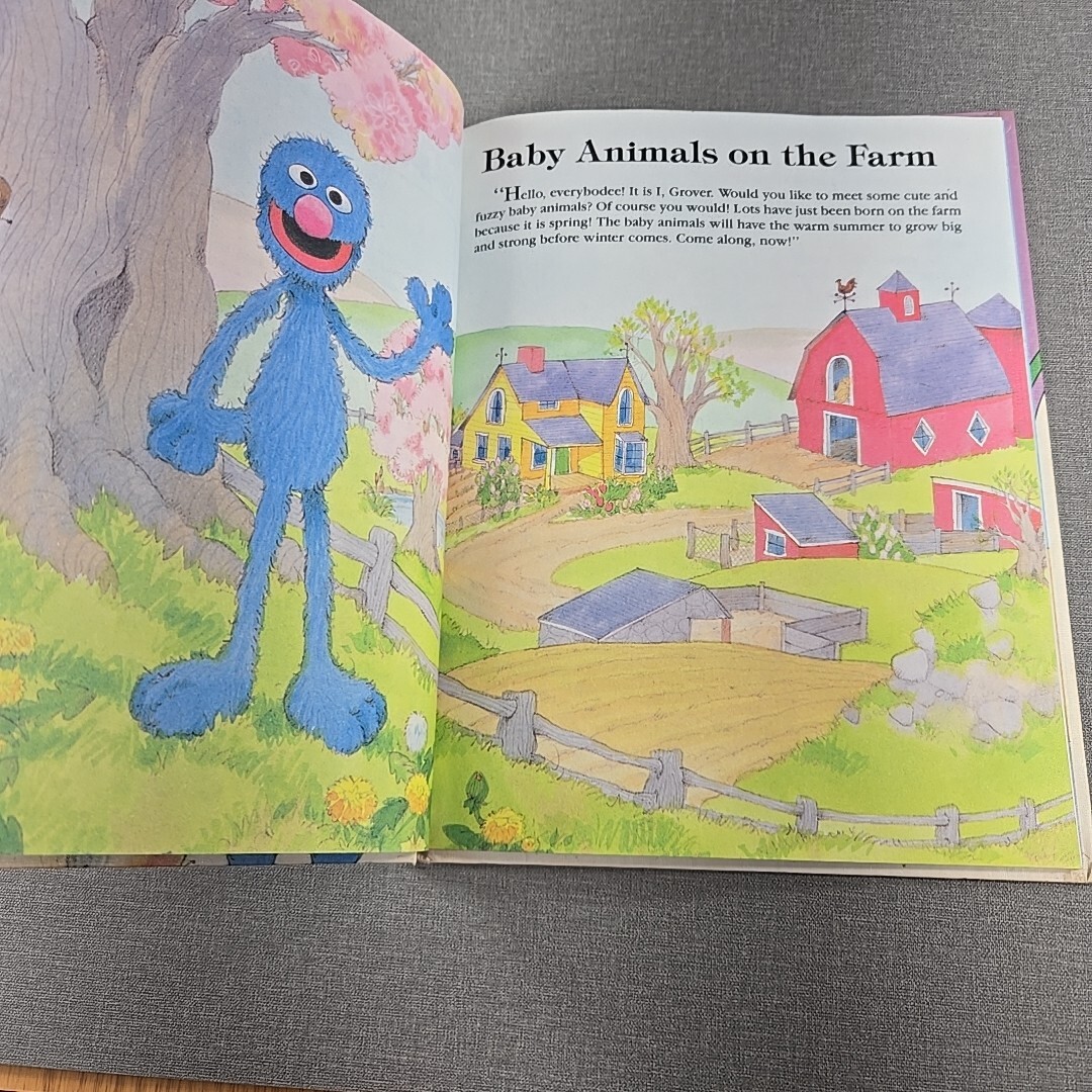 On My Way With Sesame Street Volume 4 Animals 1989 Hardcover Book