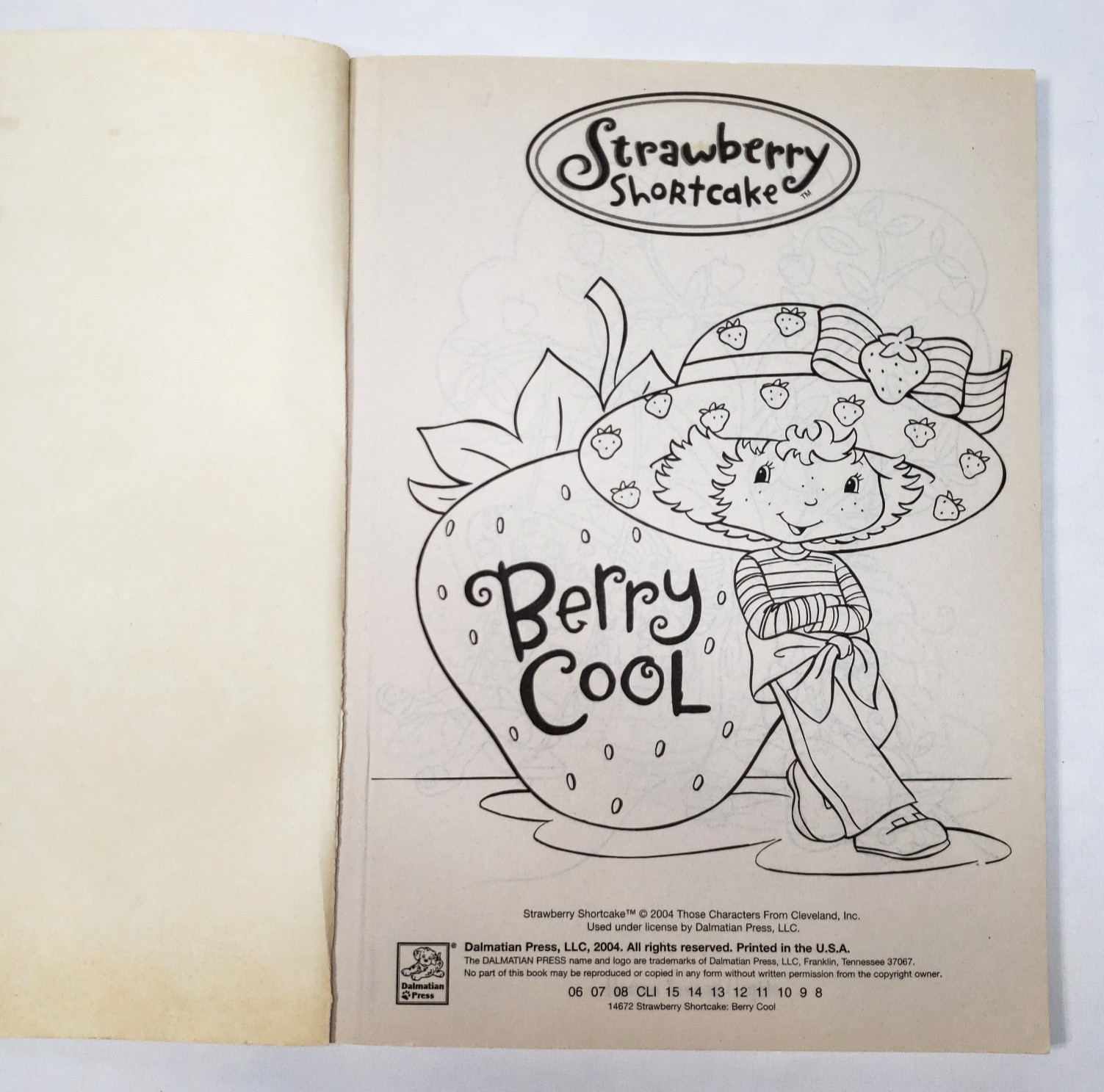 Strawberry Shortcake Coloring Book Dalmatian Press Vintage 2004 USED Berry Cool