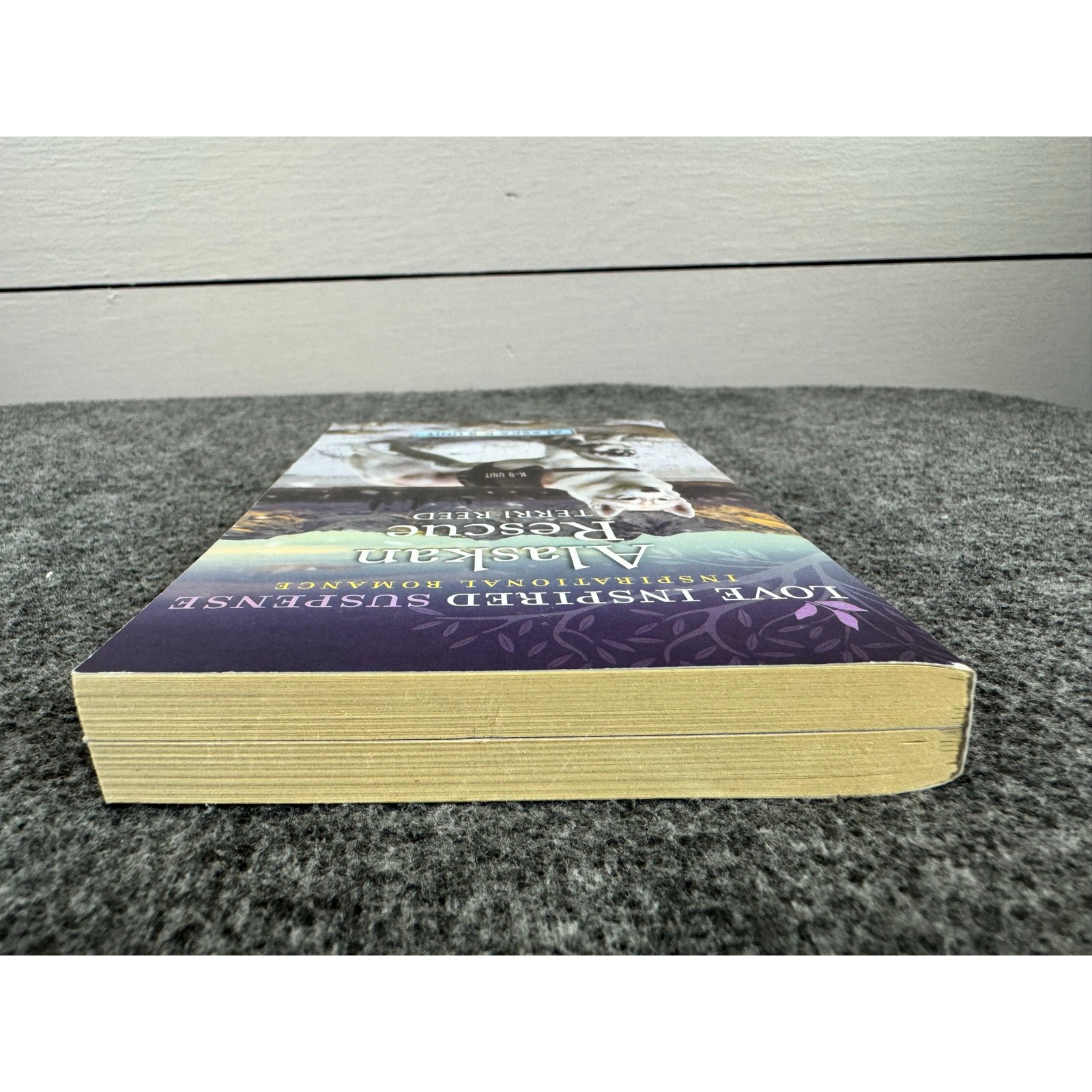 Alaskan Rescue by Terri Reed (Paperback)