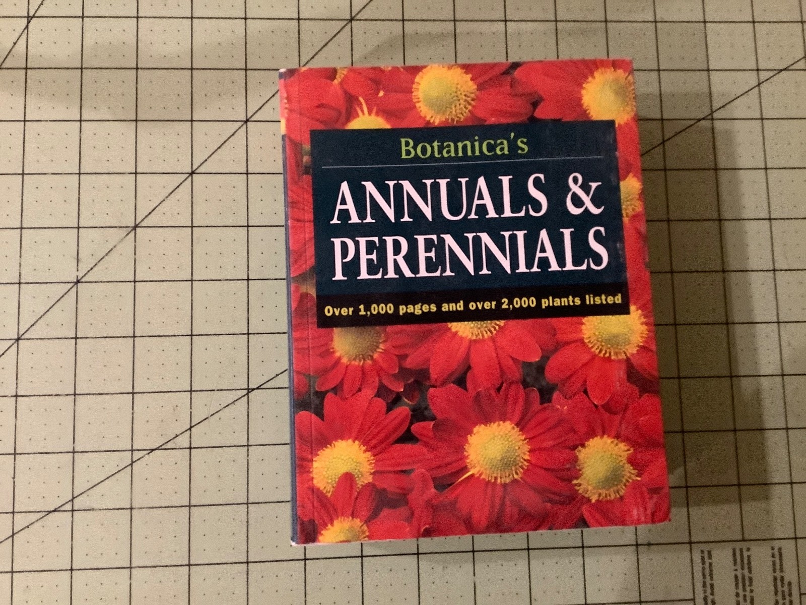 BOTANICAS ANNUALS AND PERENNIALS – Thick Paperback – VERY GOOD