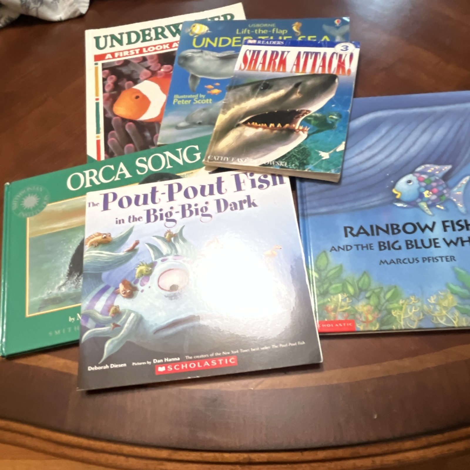 Scholastic Ocean Picture Book Lot of 6 Hardcover Illustrated Ages 4-8 English