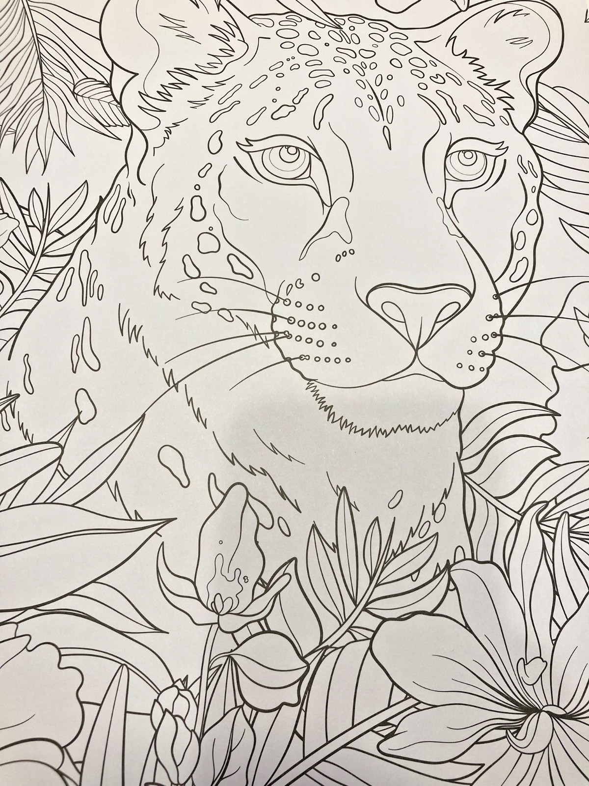 KALEIDOSCOPE COLOURING: FANTASTICAL POSTER ART 20 Pages of Custom Poster Art