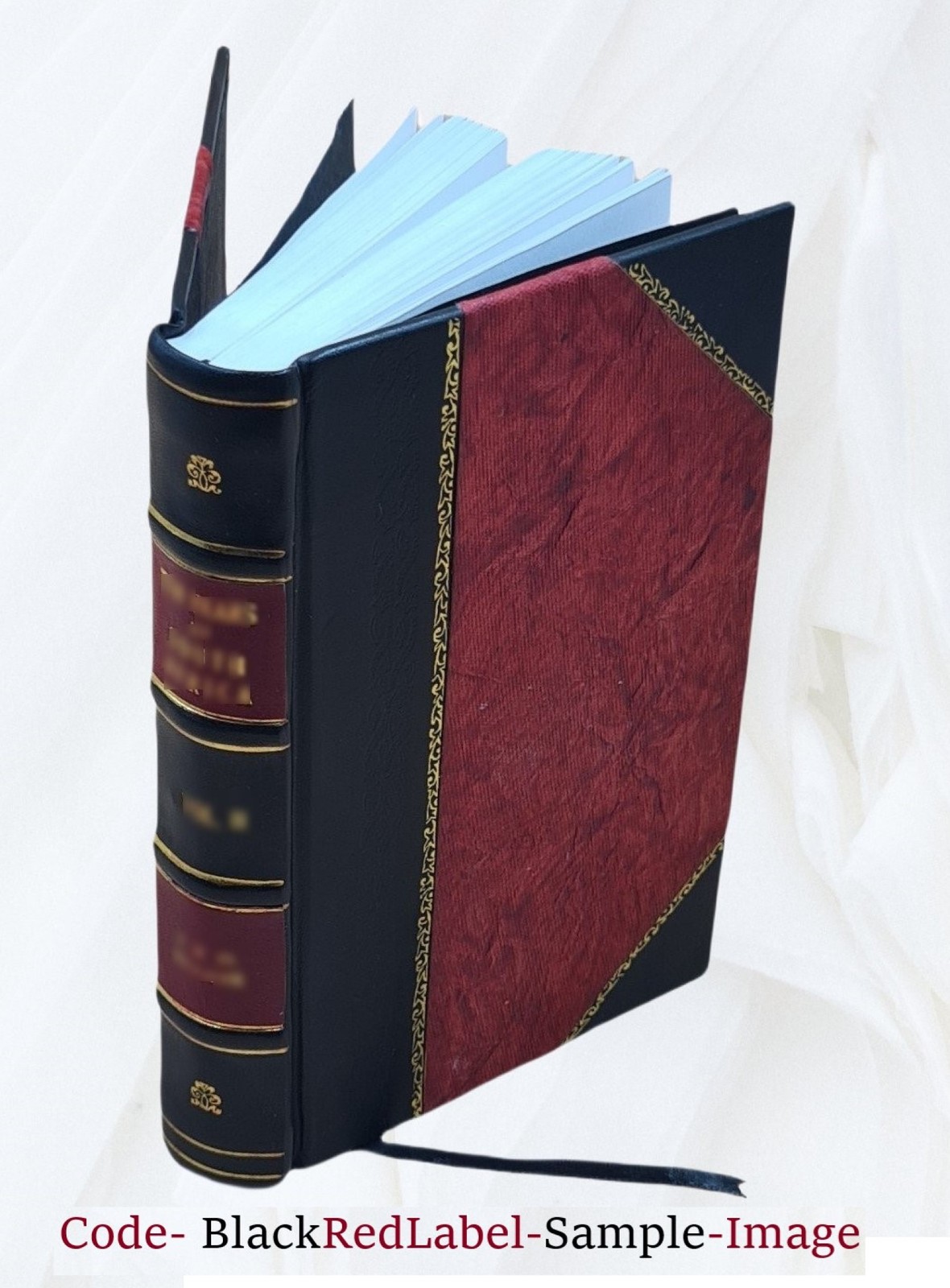 Teutonic Mythology Vol. I Volume 1 1882 By Jacob Grimm [Leather Bound]