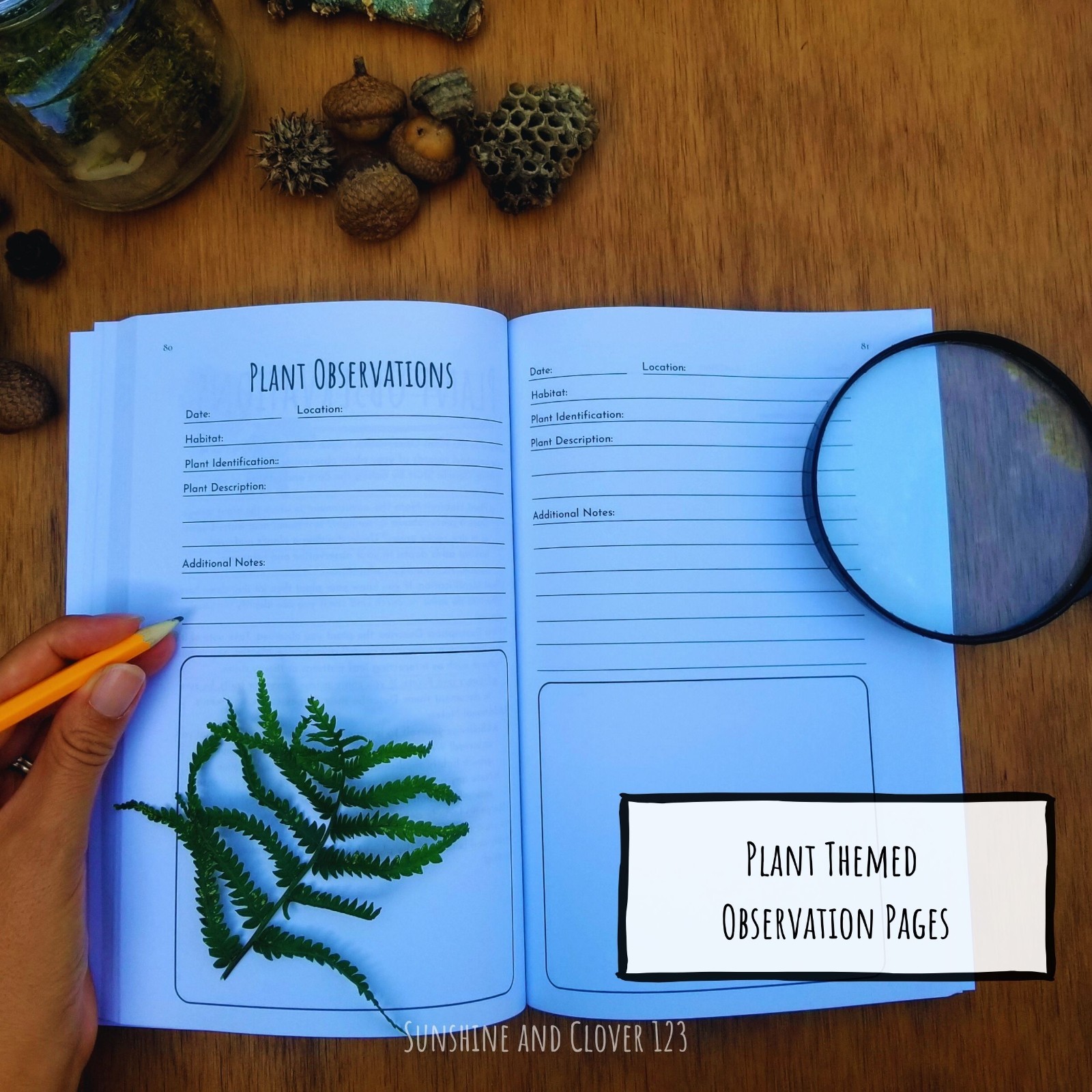 Nature Journal Exploring the Wild Kids Prompted Outdoor Observation Notebook B&W